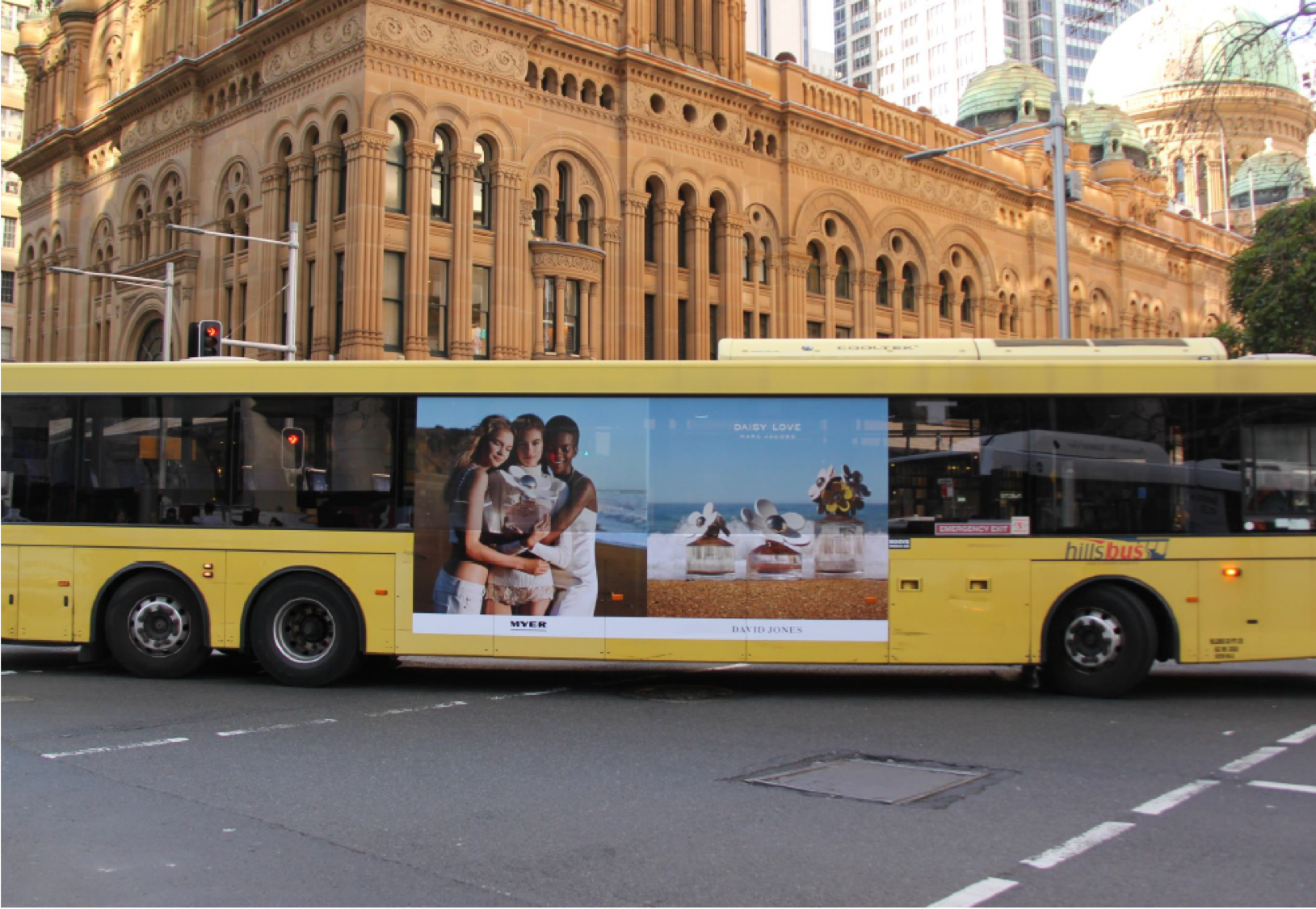 DAISY LOVE Picture3.png