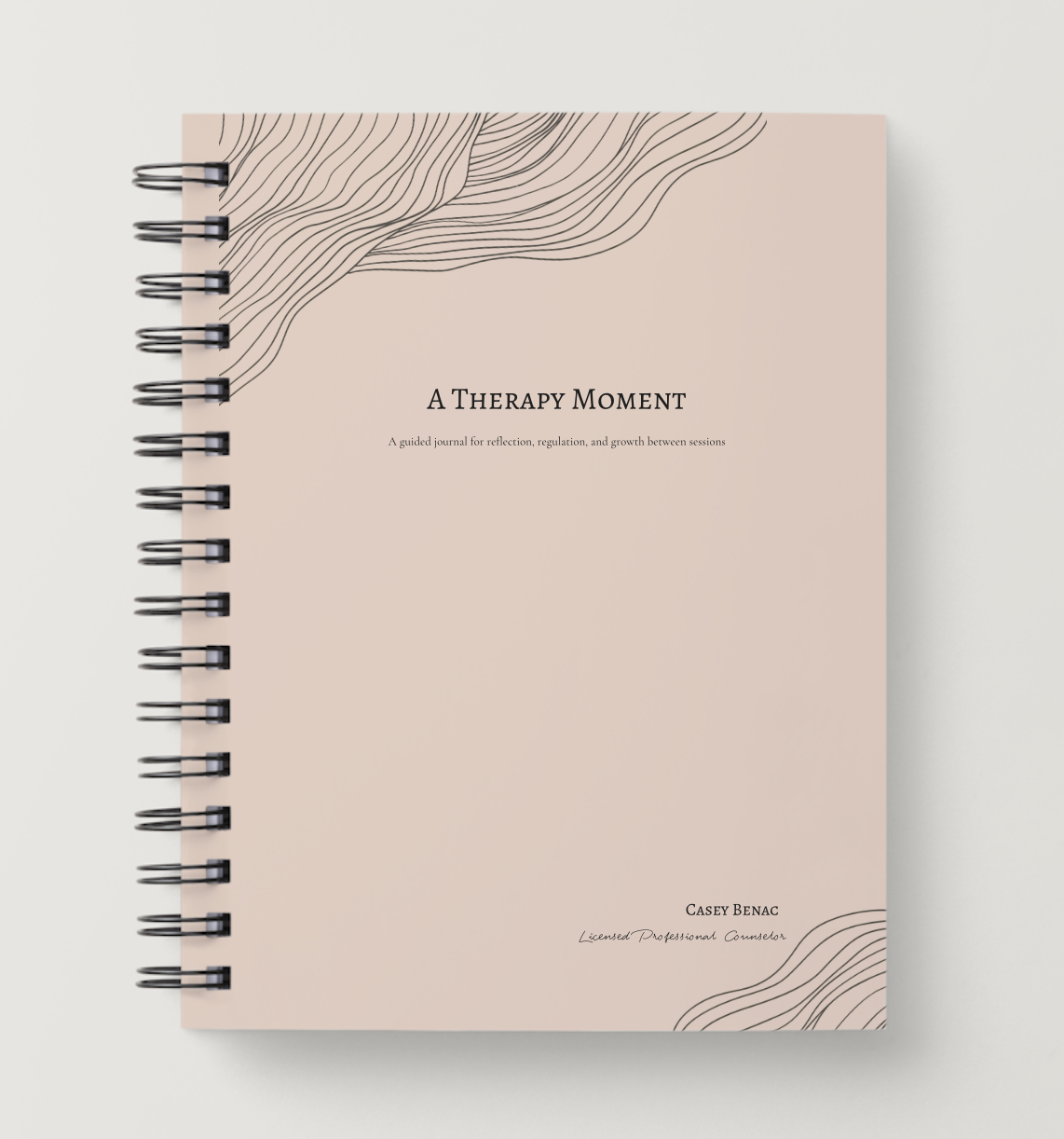 A Therapy Moment: A guided journal for reflection, regulation, and growth between sessions