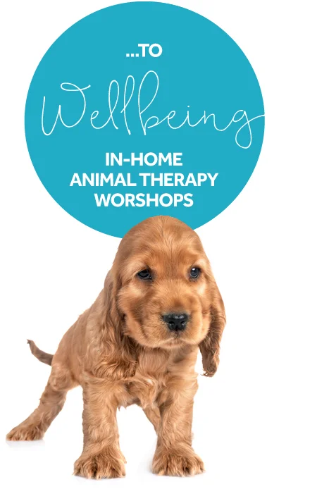 Wellbeing visits.jpg