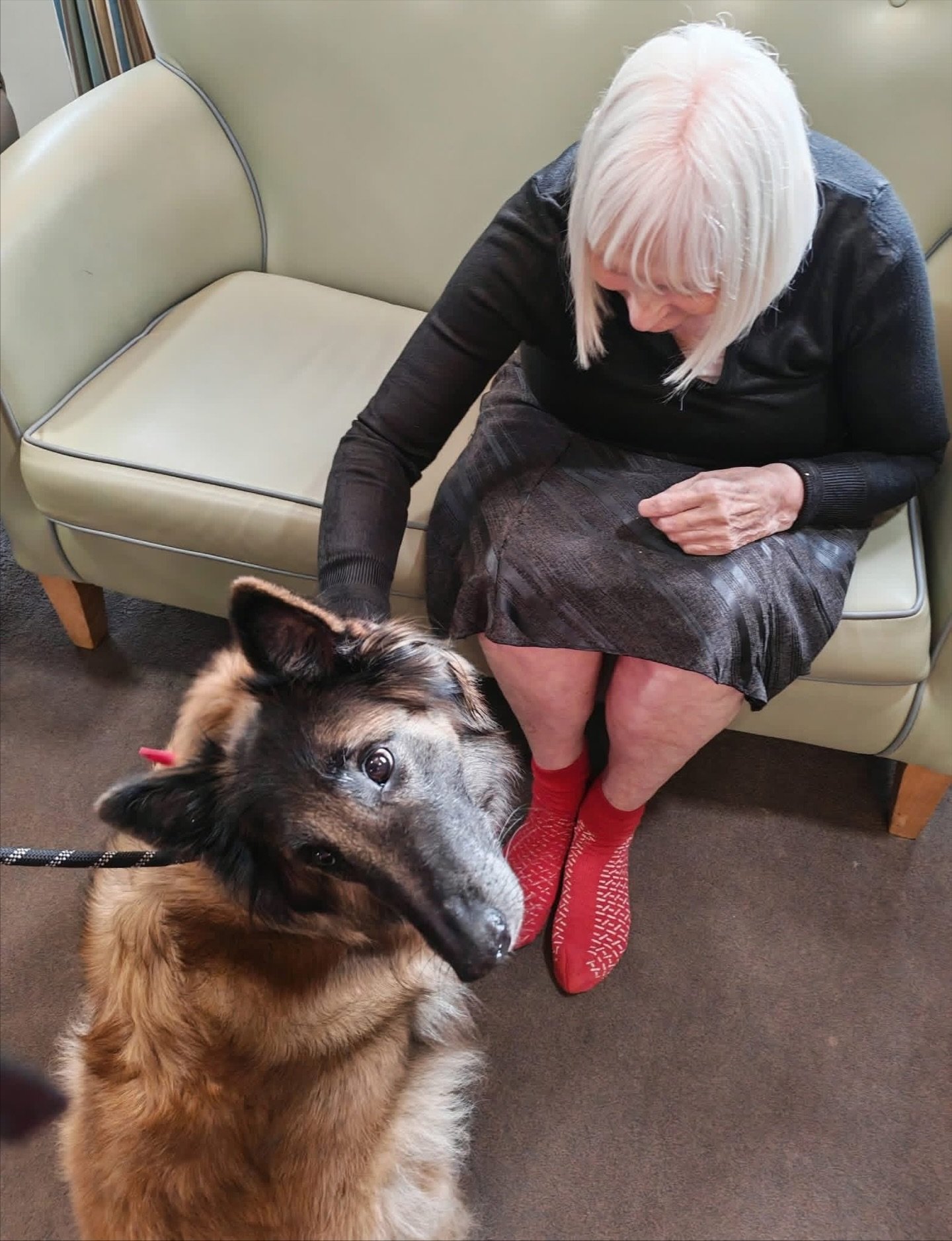 What have our residents been up to this week?

@wag_company paid a visit to St George&rsquo;s, and the furry friends certainly didn&rsquo;t disappoint! They&rsquo;re always guaranteed to bring smiles to everyone&rsquo;s faces - they&rsquo;re simply h