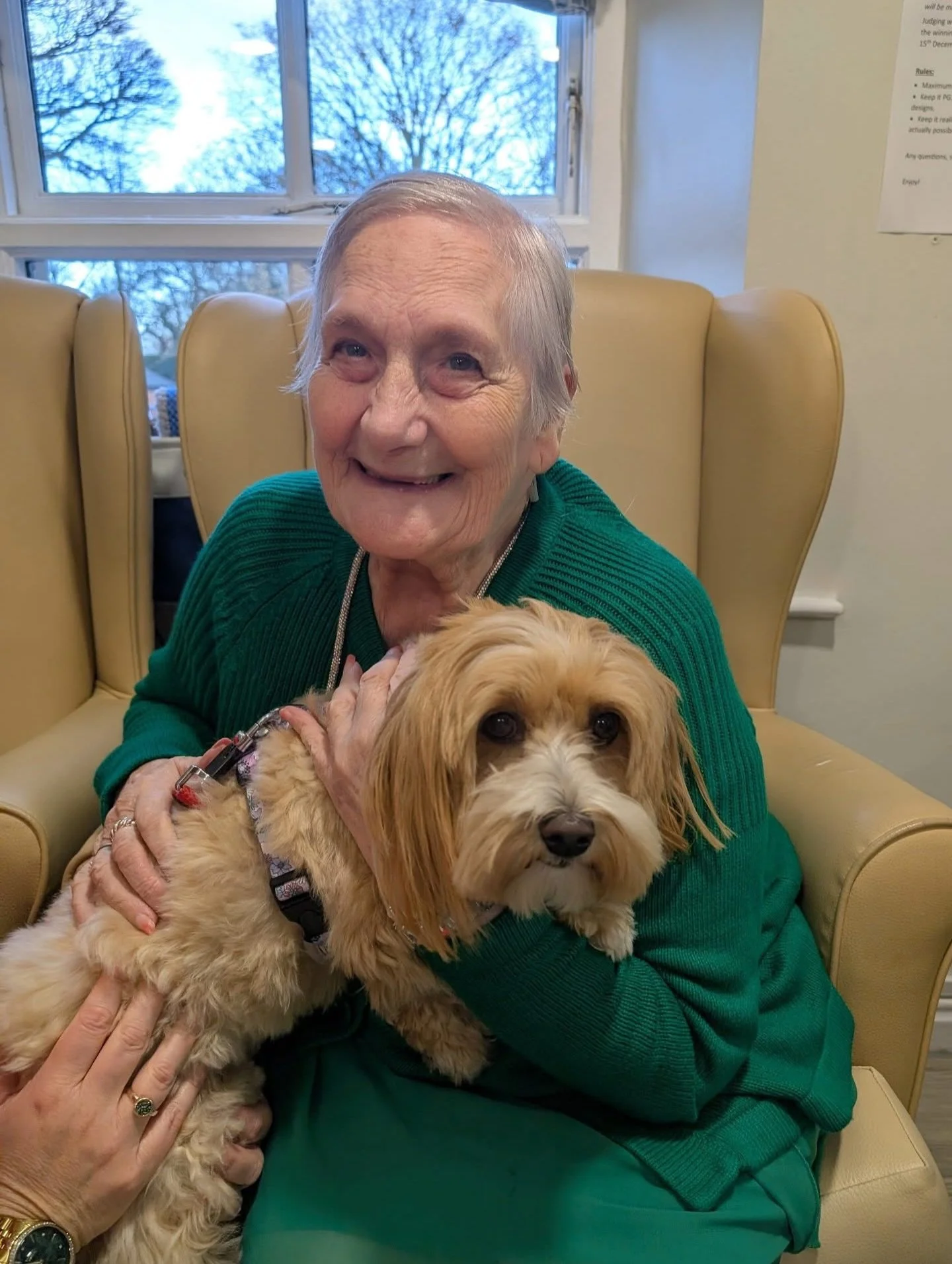 Wellburn this week ❤️

Daisy returned to Whorlton Grange, popping in for cuddles, kisses, and plenty of tail-wagging fun. The residents were so pleased to see her 🐾

Meanwhile, @discoveryzoo visited Glenholme House with their creepy crawlies🐢 Time 