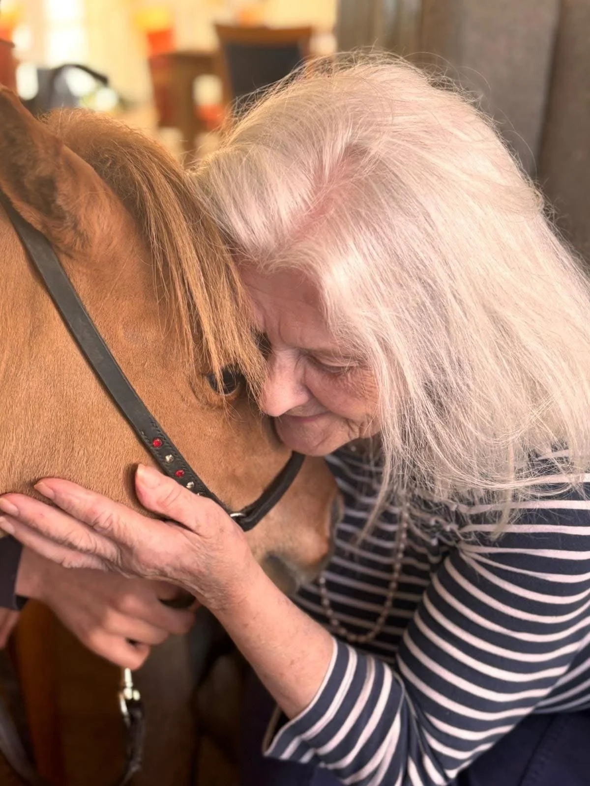 The week running up to Christmas has been extra special across our homes 🎄✨

Nightingale Hall have neigh-ver been more delighted than when they welcomed a Shetland pony to visit, bringing plenty of smiles and excitement for residents and staff🐴

He