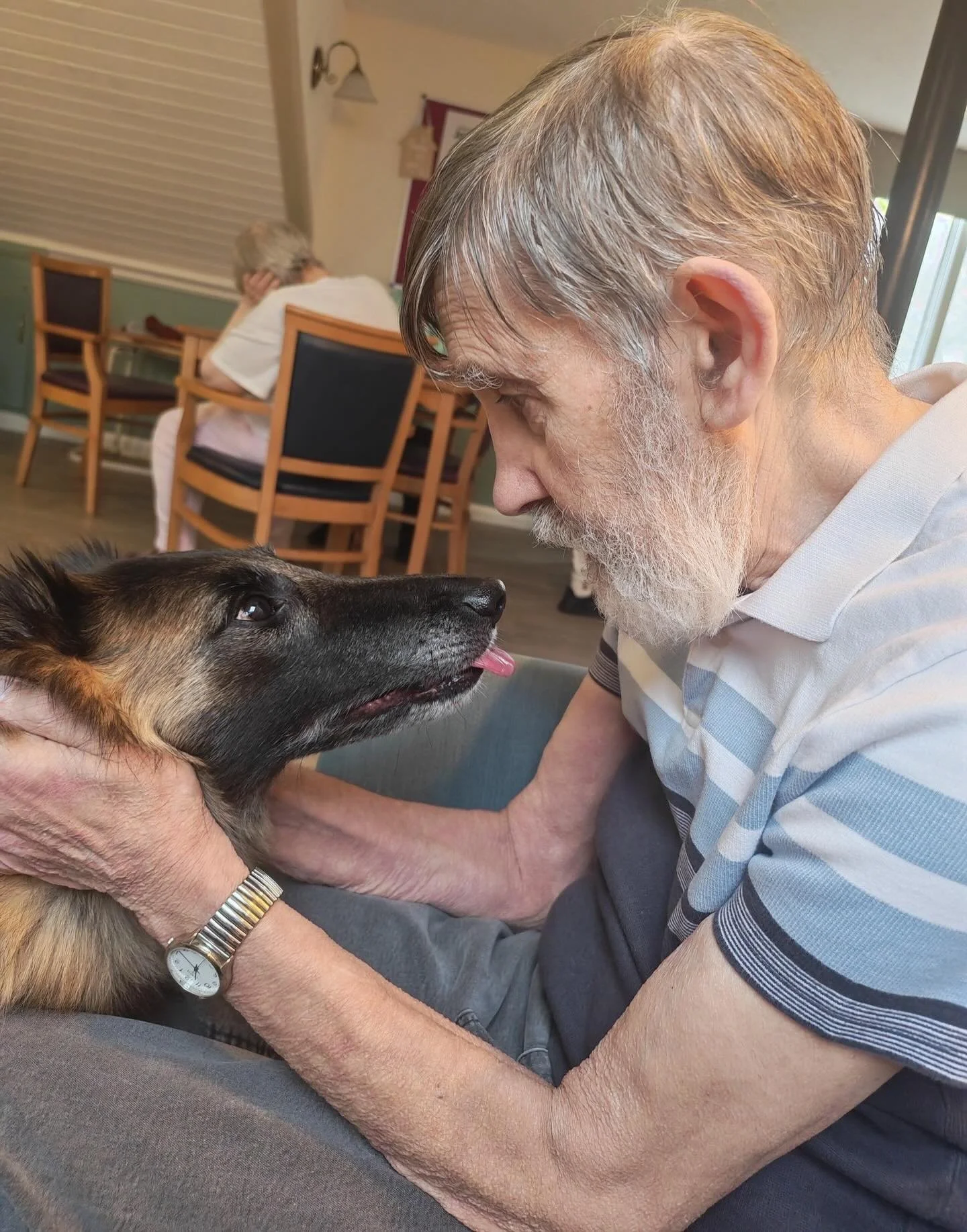 We&rsquo;ve had another jam-packed week here at Wellburn Care! 👀

Residents at St George&rsquo;s welcomed the gorgeous Fable from @wag_company, and everyone enjoyed plenty of canine cuddles and puppy love 🐶

Rosevale celebrated Burns&rsquo; Night w