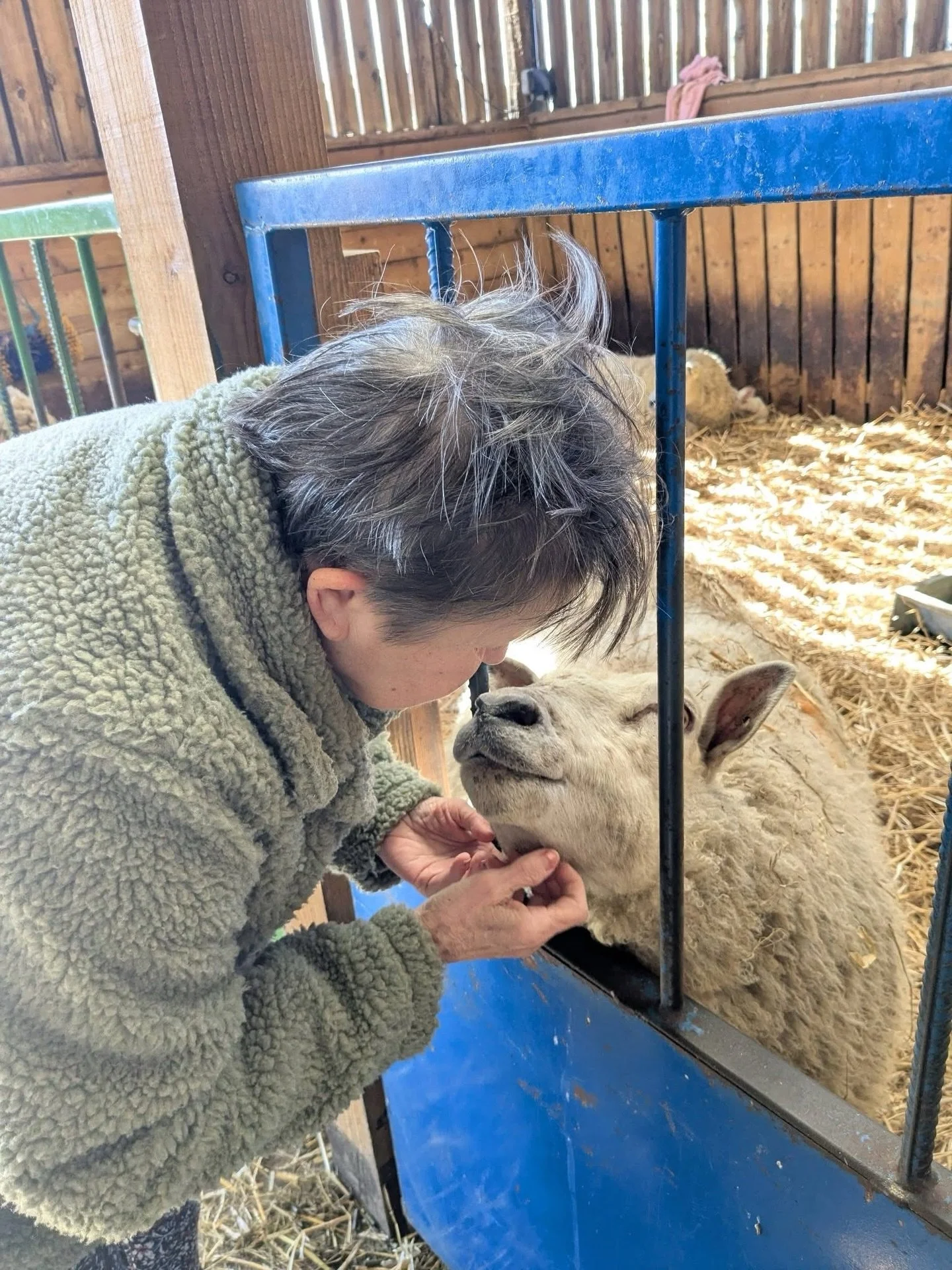 Rosevale had a very special day out this week with a visit to @beetle_bank_open_farm 🐑

Residents loved feeding the animals and giving them plenty of cuddles ❤️ From fluffy guinea pigs to pygmy goats, they enjoyed every second of this wonderful day 