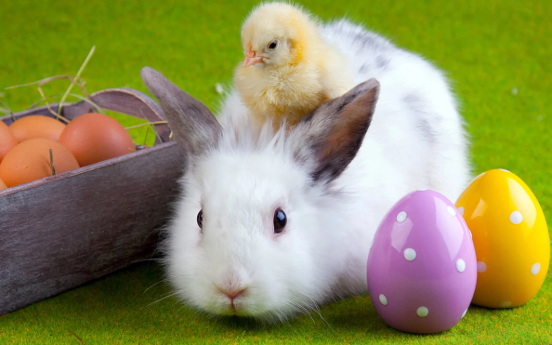 Ostern2.jpg