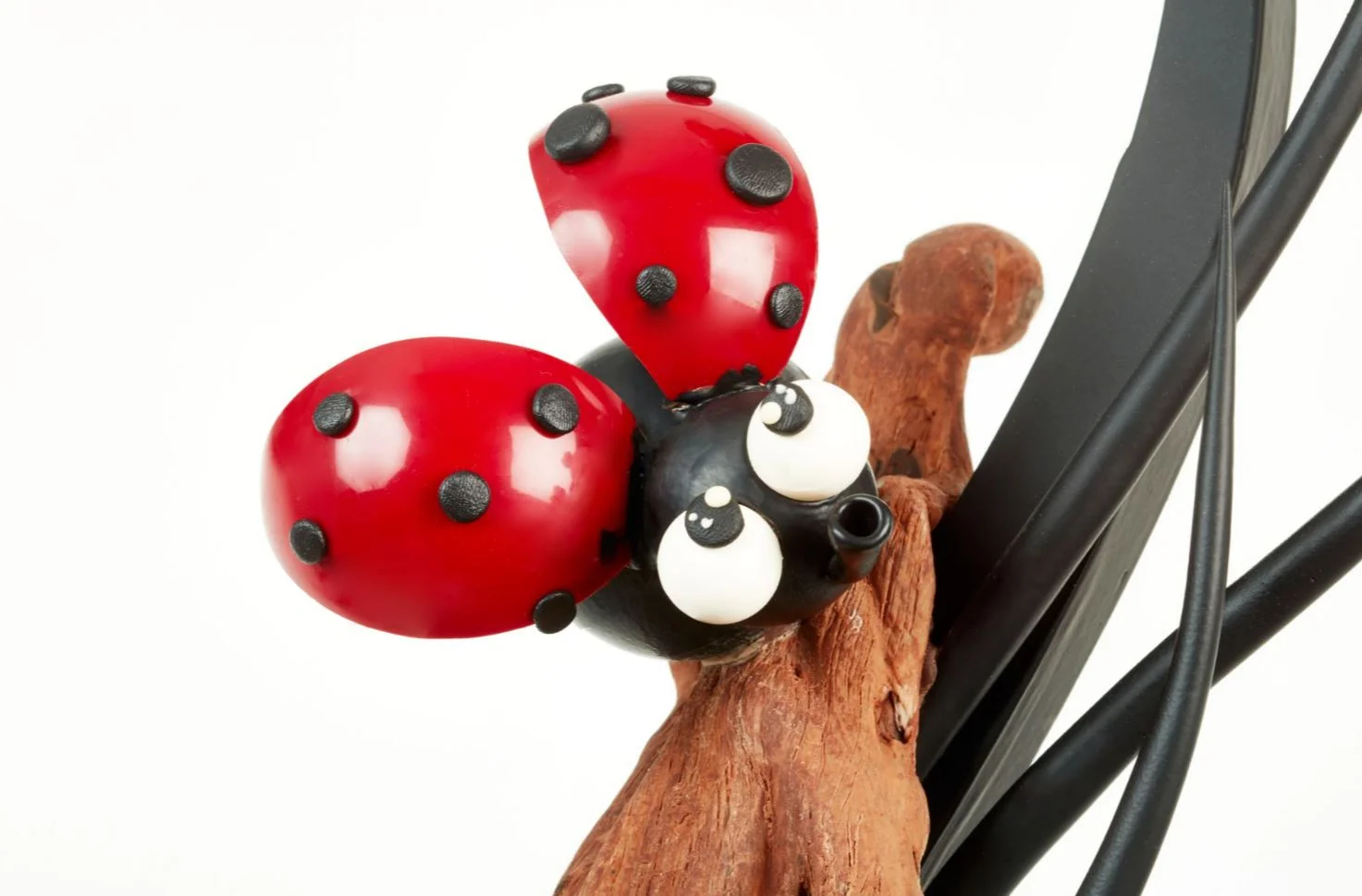 ladybug.JPG