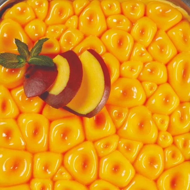 top102-top-ice-coral-silicone-mould-icecream-containers.jpg