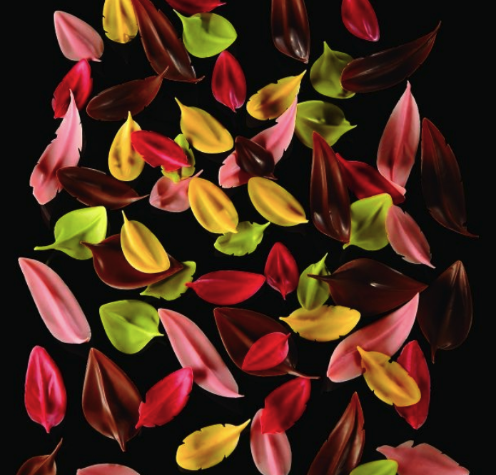 Snip20191109_86 (1).png