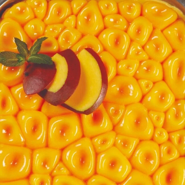 top102-top-ice-coral-silicone-mould-icecream-containers (1).jpg