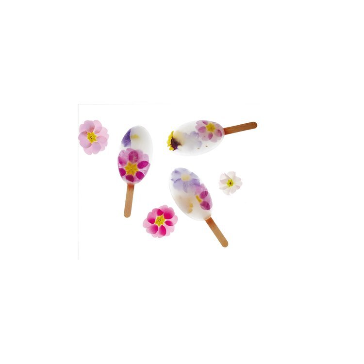 kit-for-pocket-waikiki-stick-icecream-molds-50-sticks-2 (1).jpg