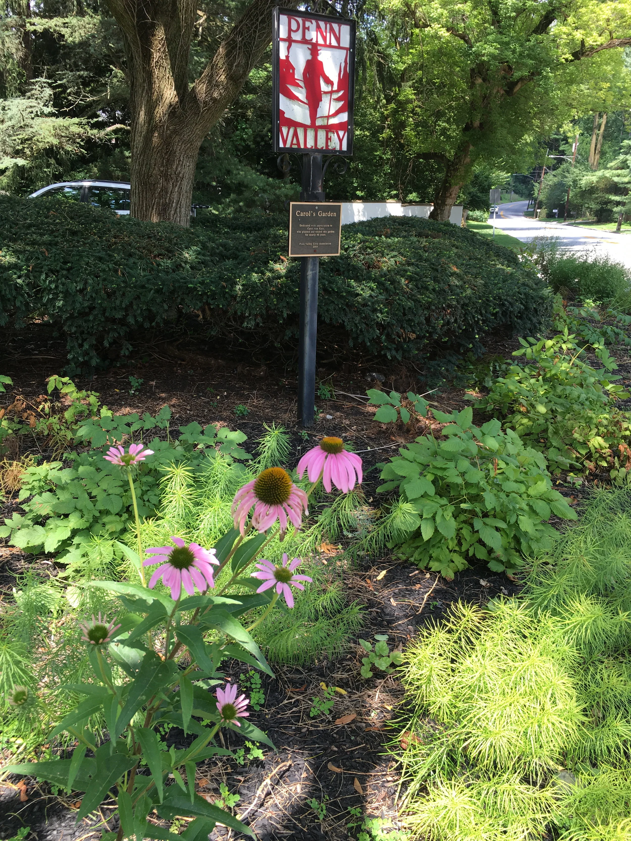 Your dues fund traffic island planting and maintenance. New efforts have been underway for the past year to thoughtfully plant these spaces with native perennials for the enjoyment of wildlife and residents alike. Consider donating to help purchase plants so that we can renovate our 3rd traffic island at Centennial and Righters Mill this year. More information on triangle plantings here .