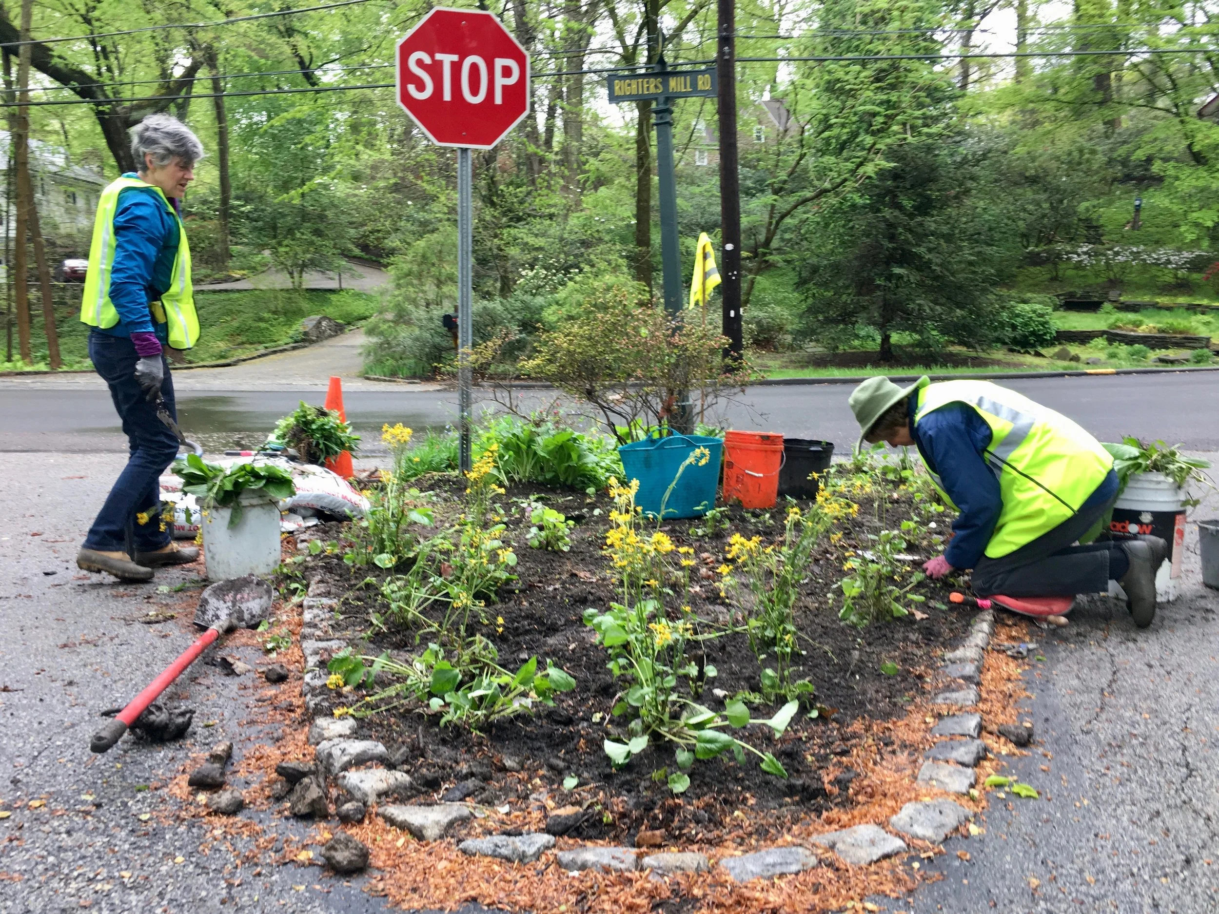 Expert gardeners and tireless PVCA garden volunteers, Ellen Briggs and June Lauer work to add new plantings to our smallest traffic island.