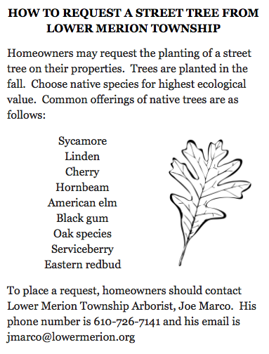 Requesting street tree info.png