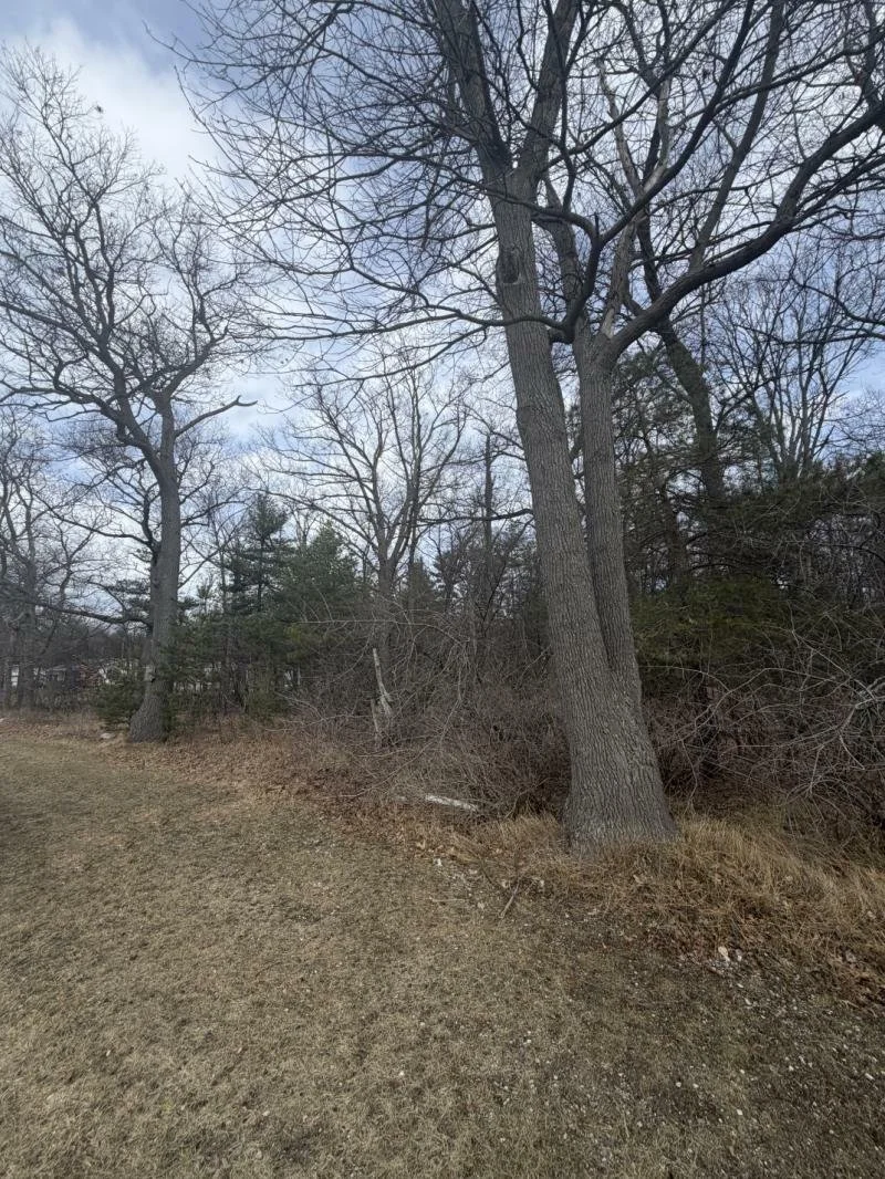 Hillcrest Dr, Caseville MI 48725