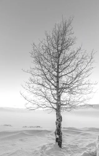 untitled-1345-Edit.jpg