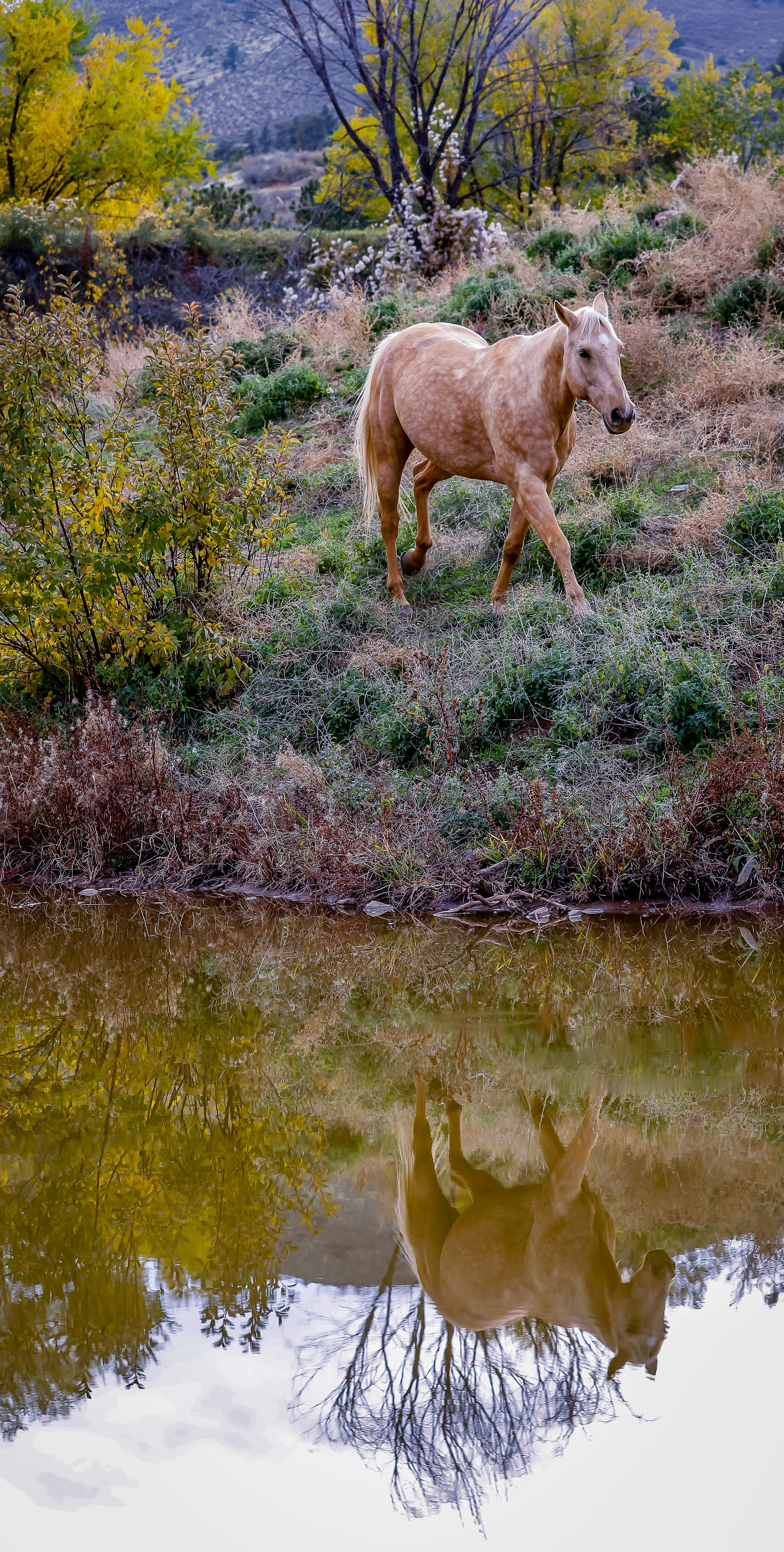 untitled-0039-Edit.jpg