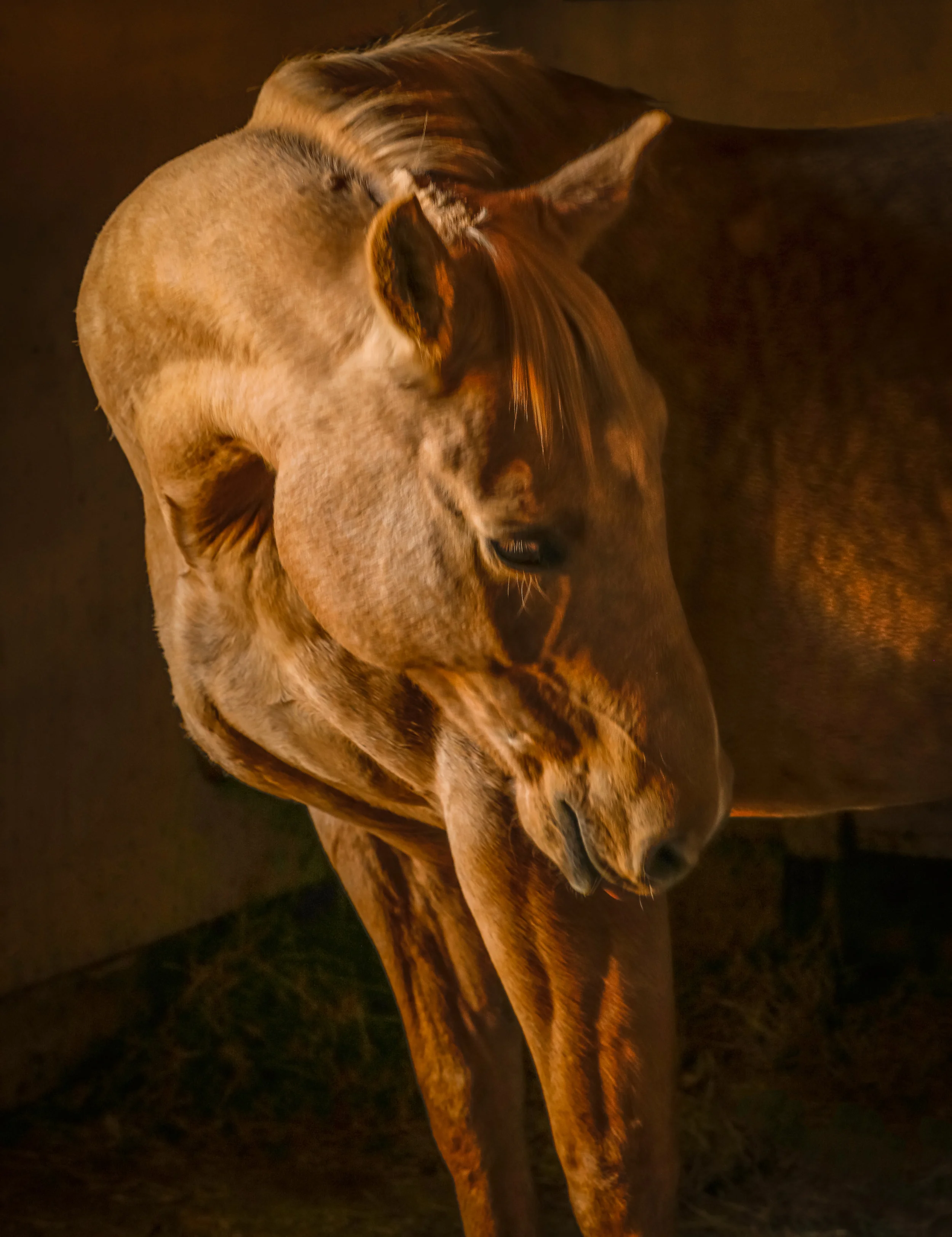 untitled-8845-Edit.jpg