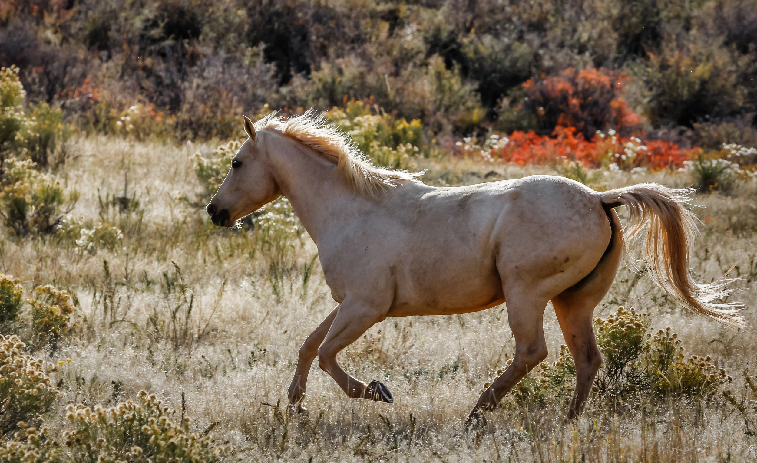 untitled-9913-Edit.jpg