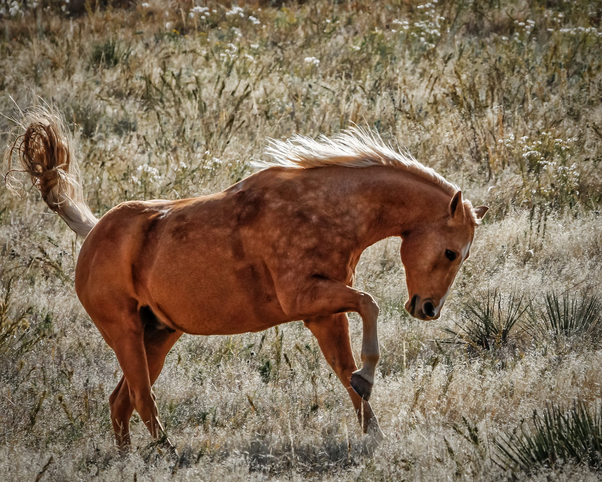 untitled-9819-Edit.jpg