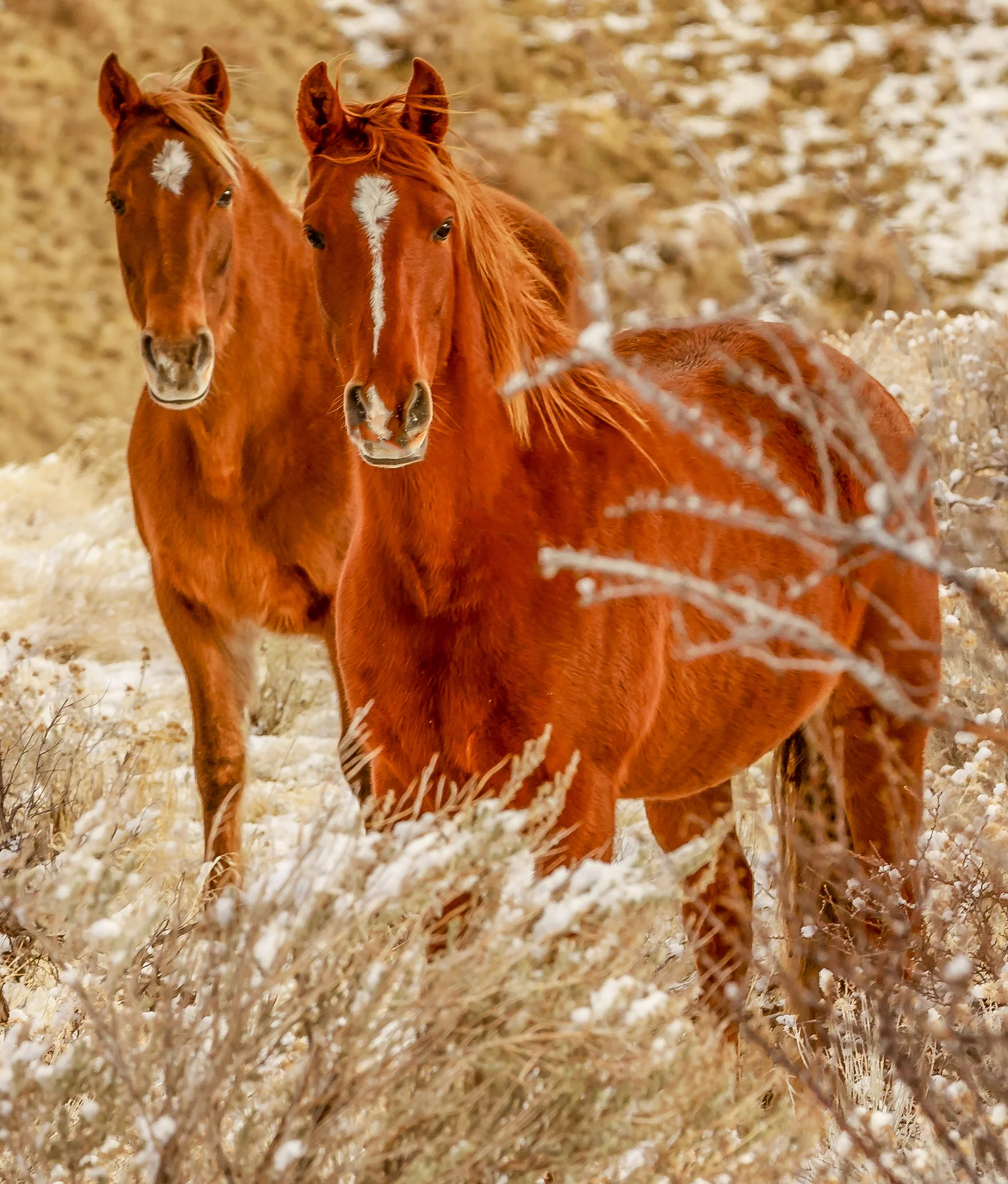 untitled-7718-Edit.jpg