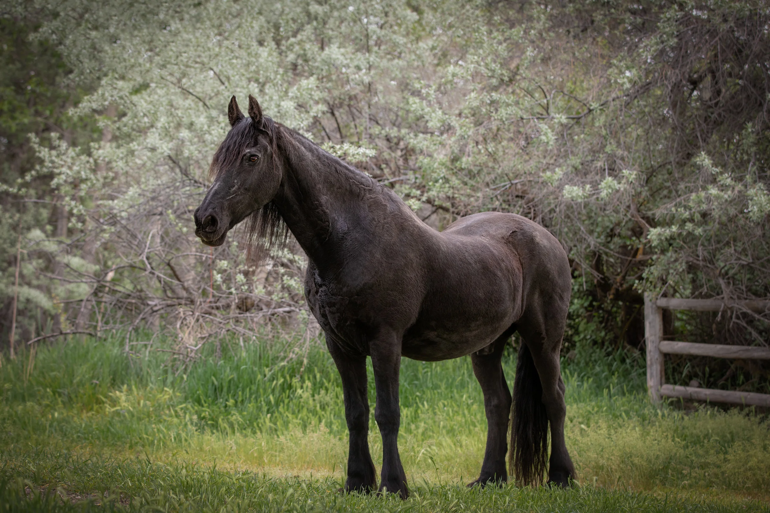 untitled-487-Edit-Edit.jpg