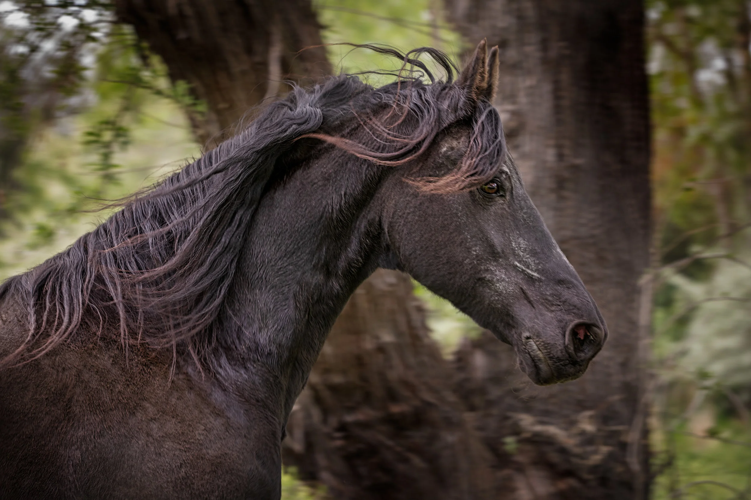 untitled-695-Edit.jpg