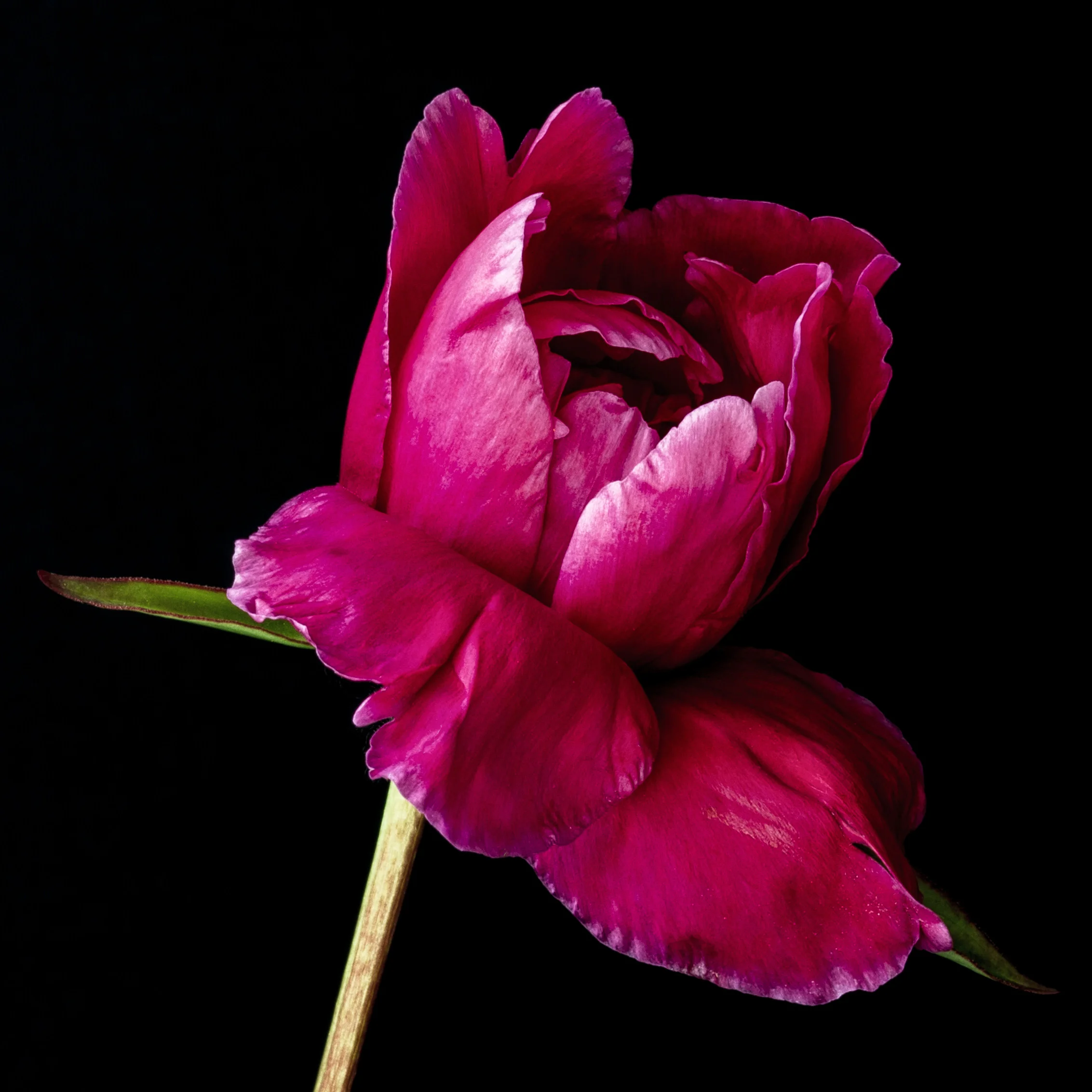 untitled-6-Edit.jpg