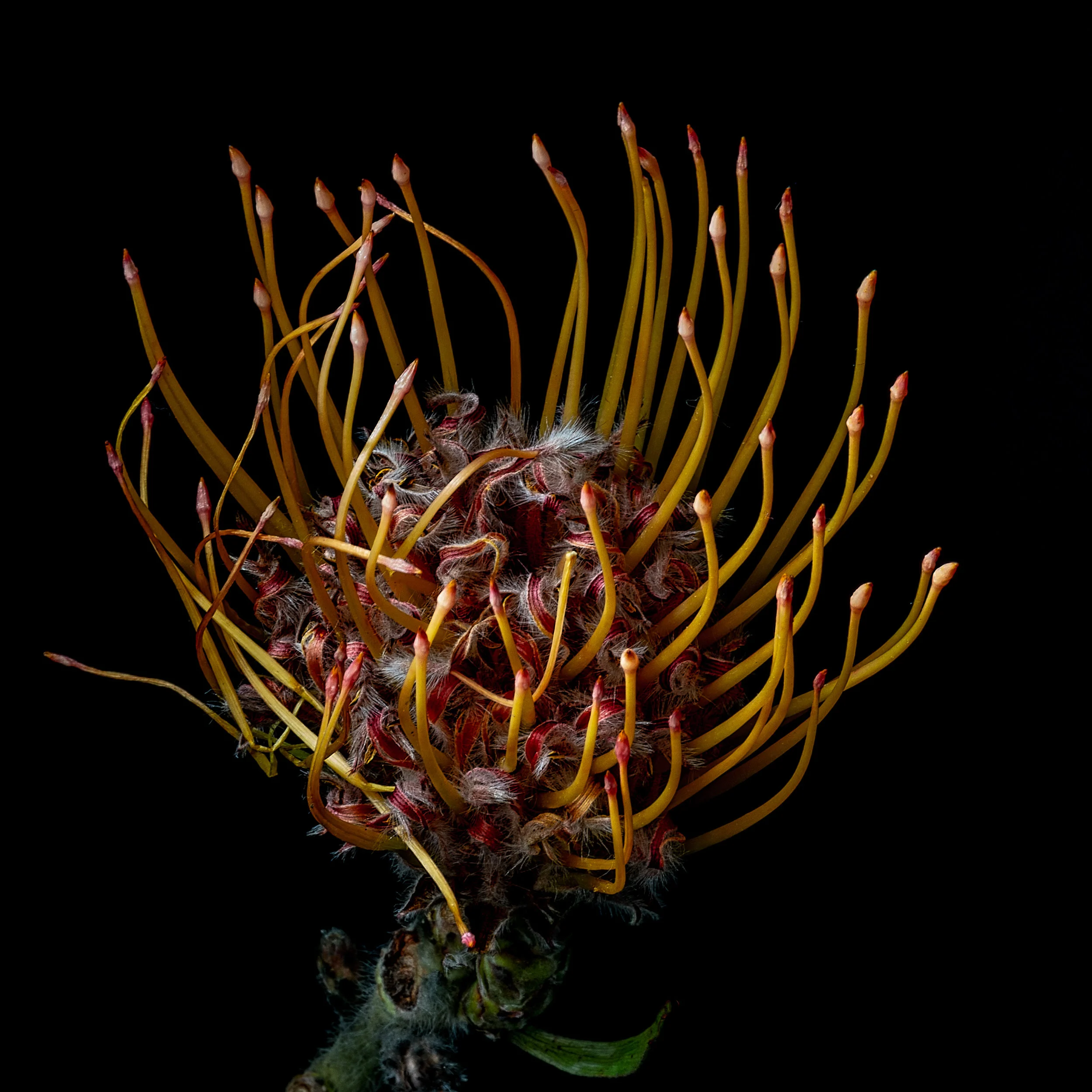 untitled-9-Edit.jpg