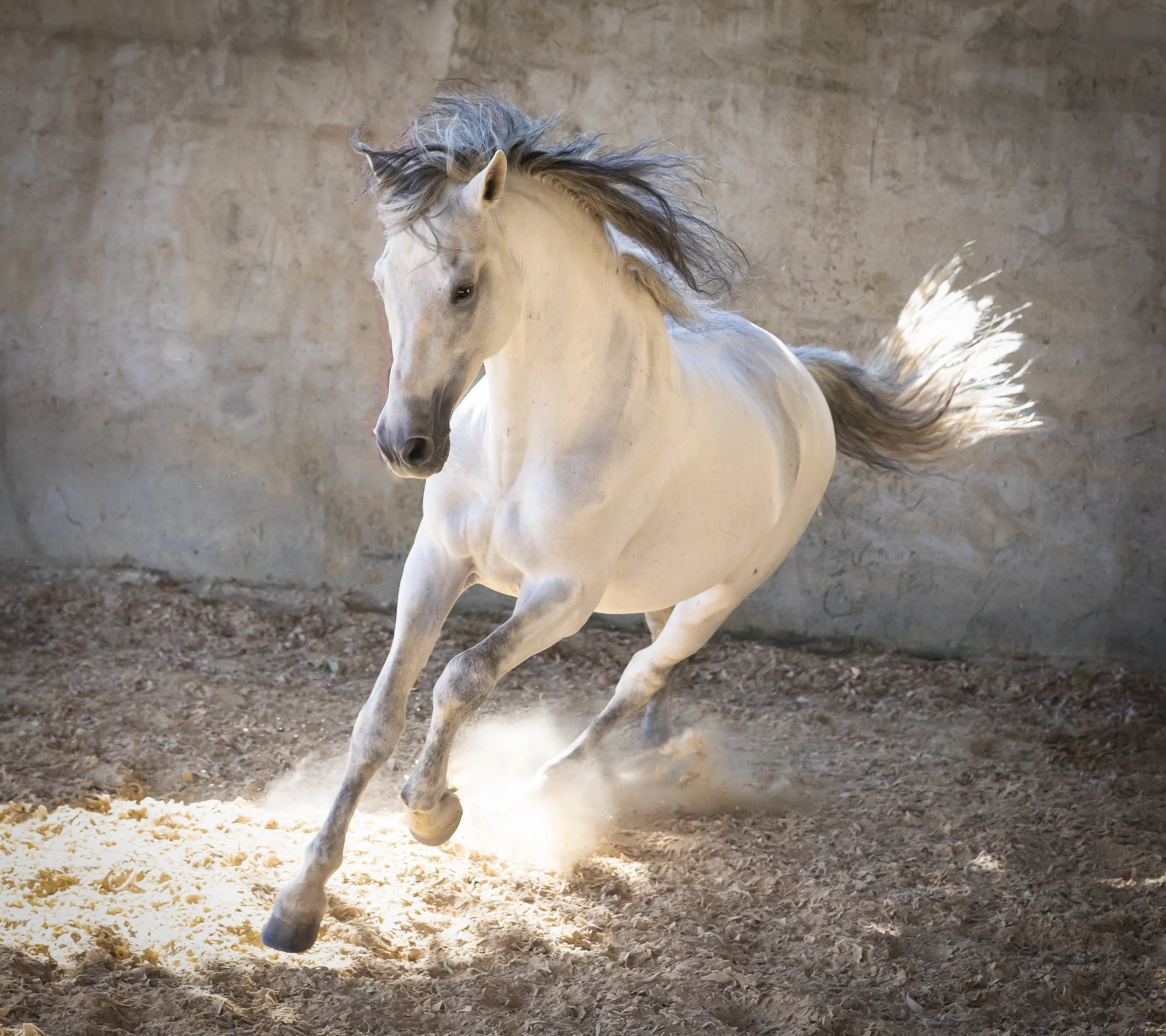 untitled-162-2-Edit.jpg