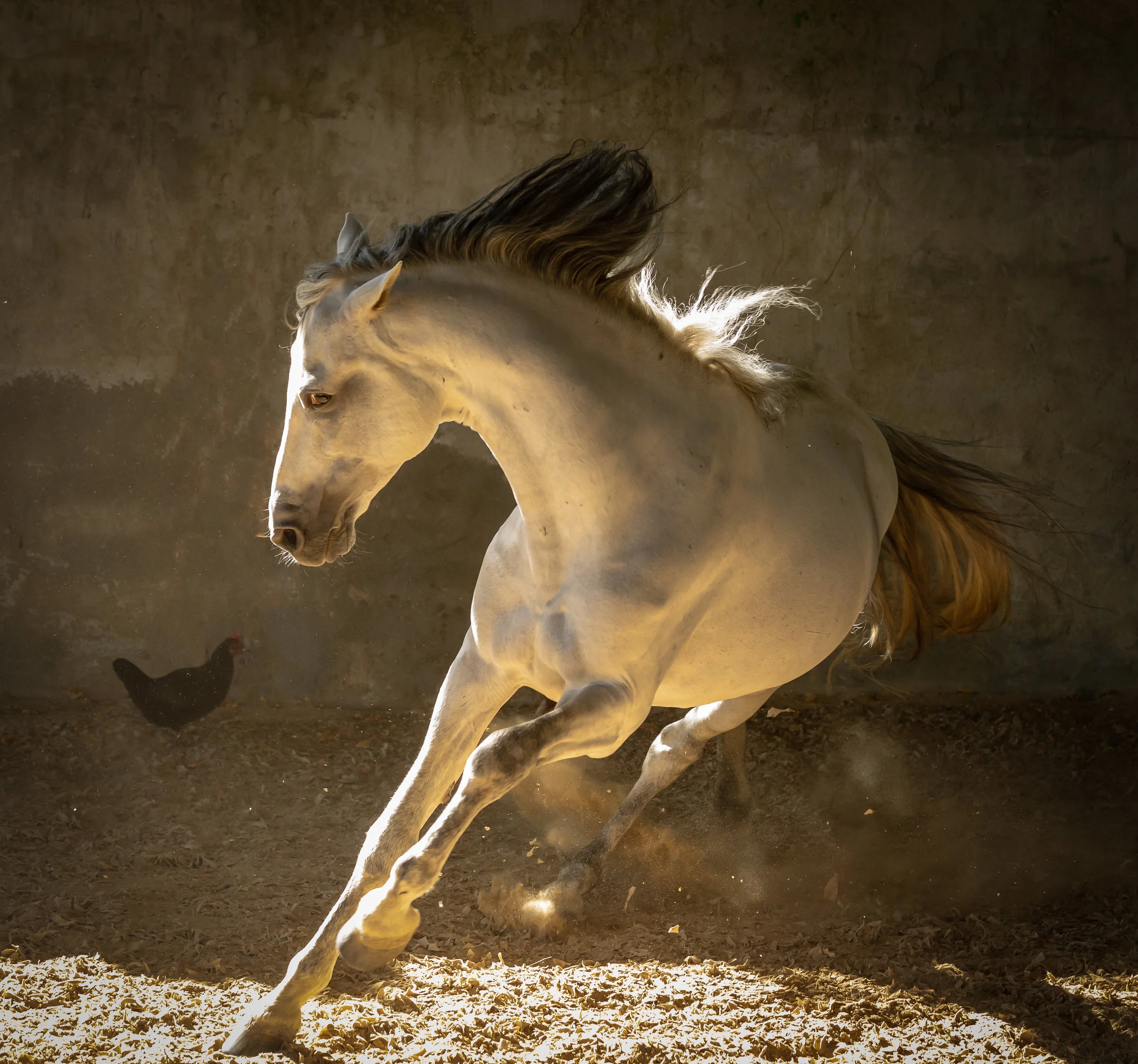 untitled-171-2-Edit.jpg