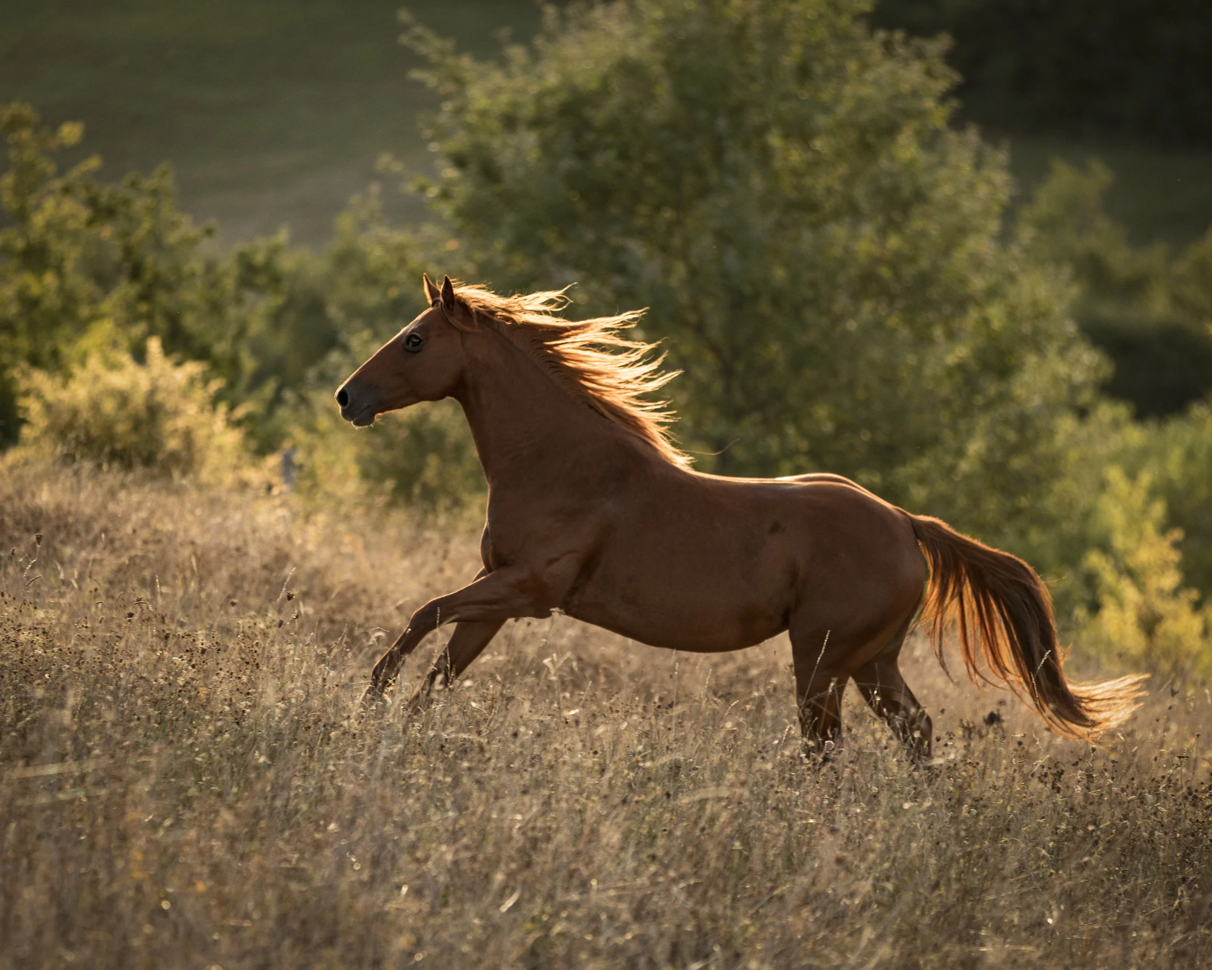 untitled-1425-Edit.jpg