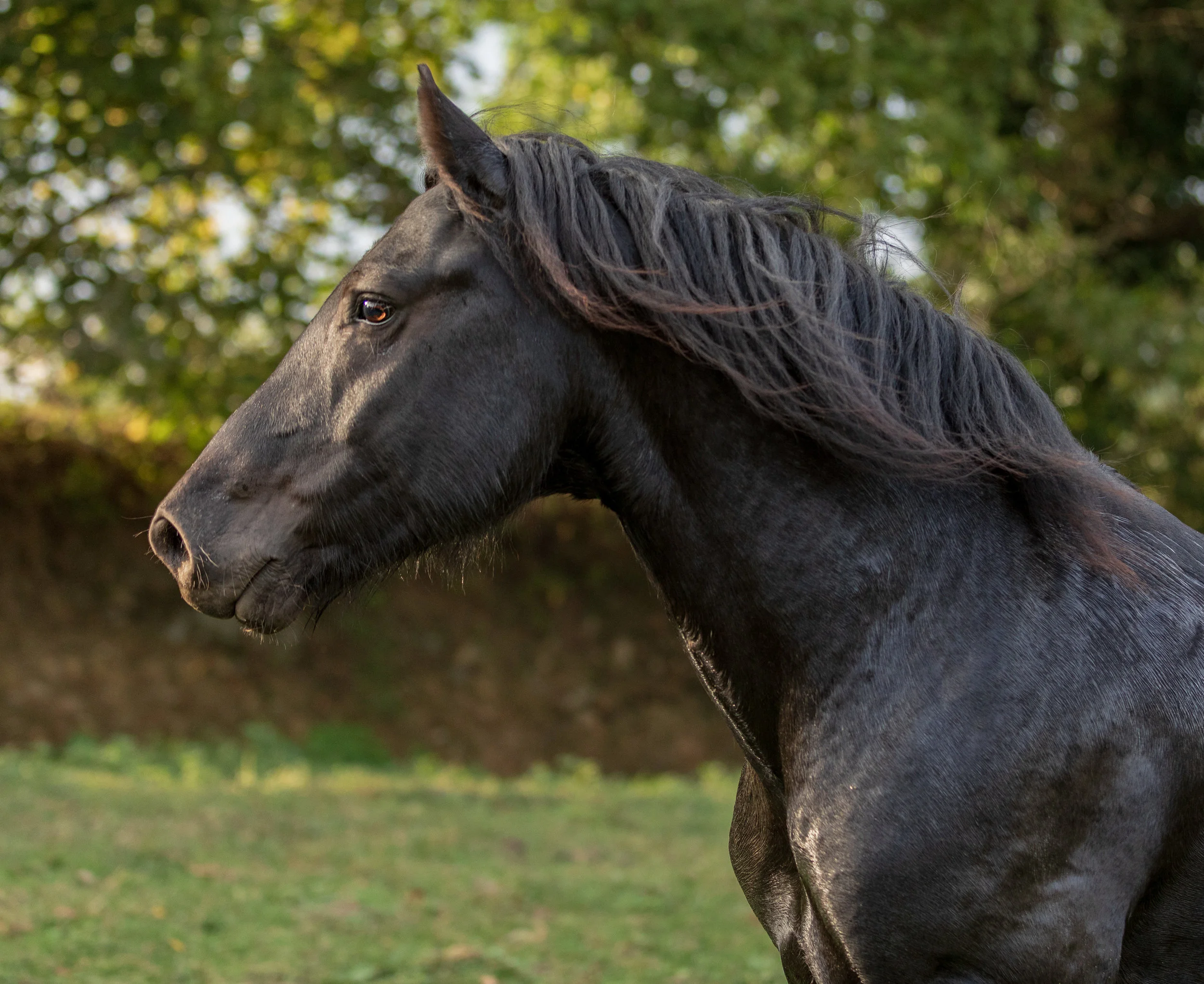 untitled-1795-Edit.jpg