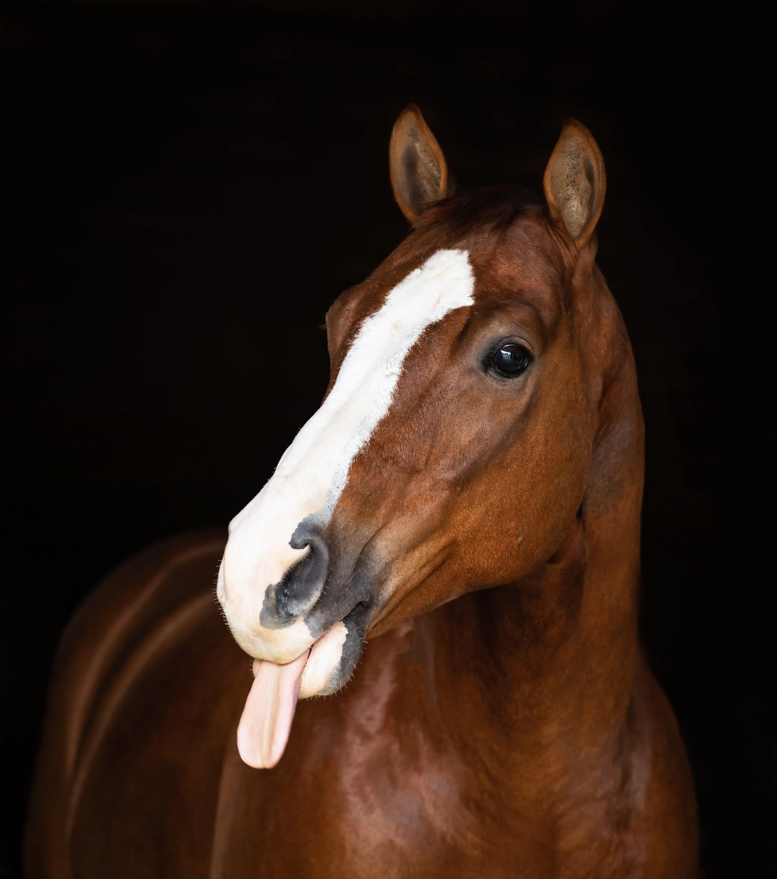 20181006-_D2A7792-Edit.jpg