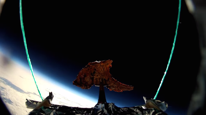 Author Sends Tandoori Lamb Chop into Space