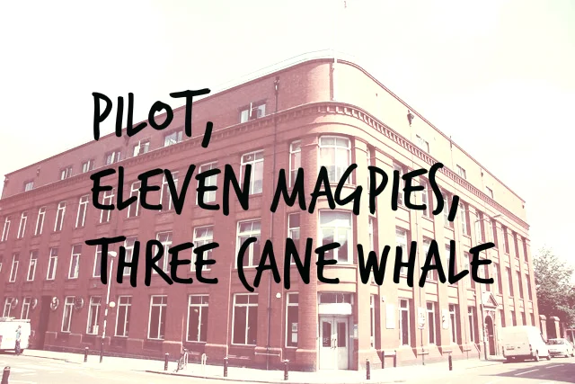 Review | Pilot, Eleven Magpies + Three cane whale at The Tobacco Factory