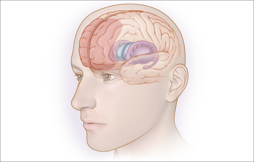 Brain_Rule.jpg