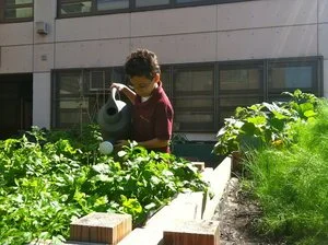 Ujima Garden Volunteer Work Days June 2023