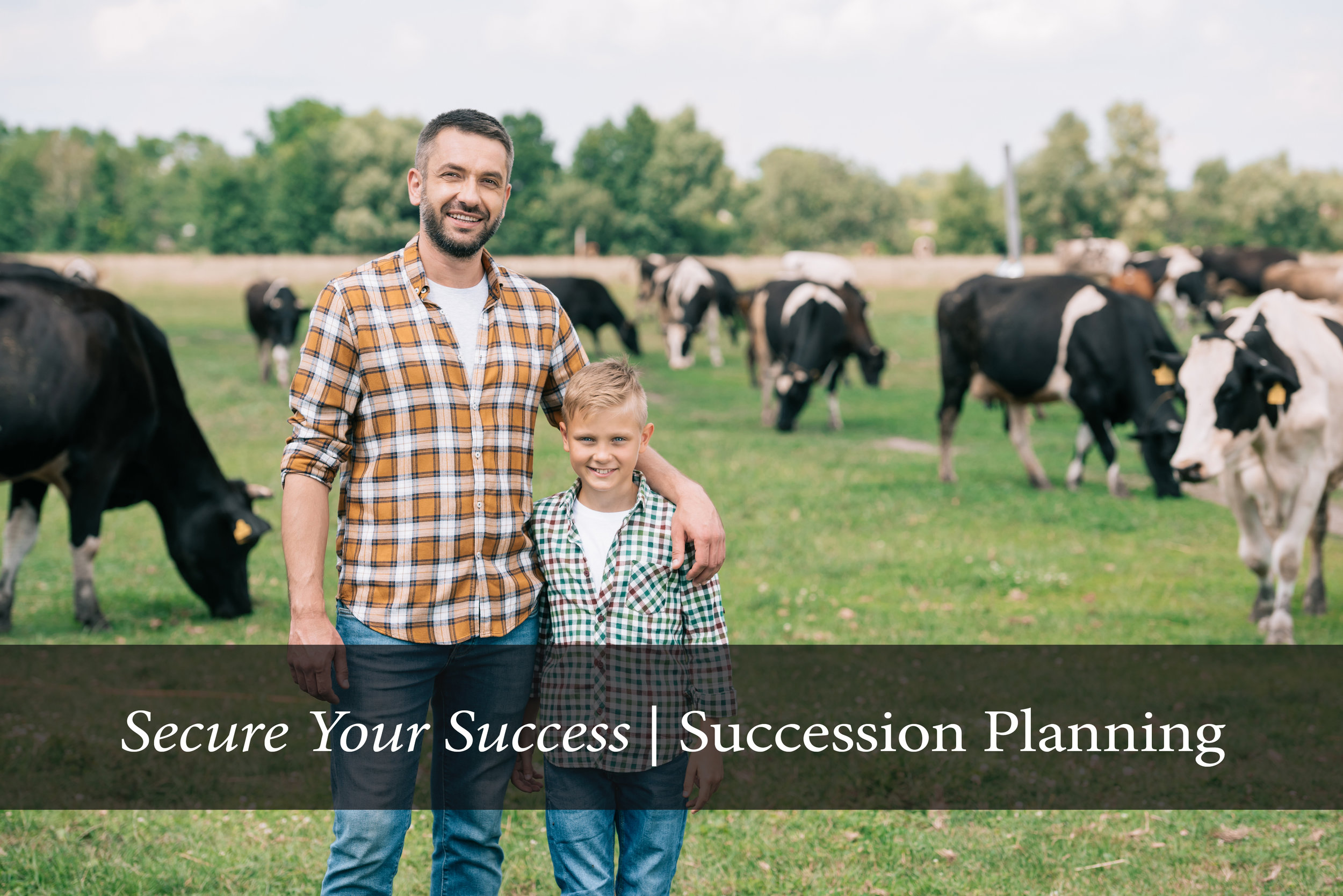 Succession Planning