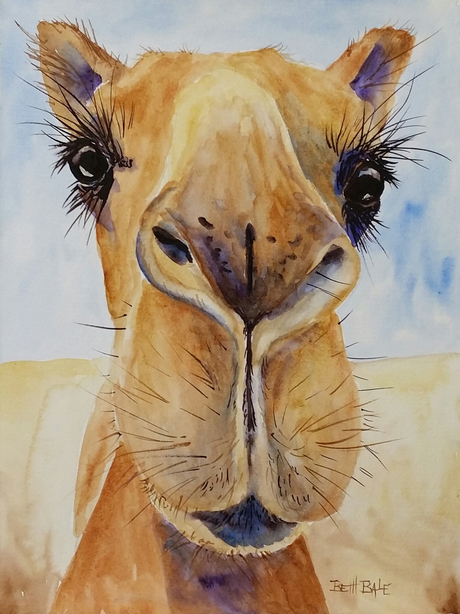 Camel Mammal