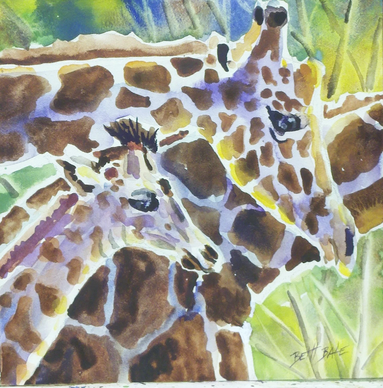 Three Giraffes