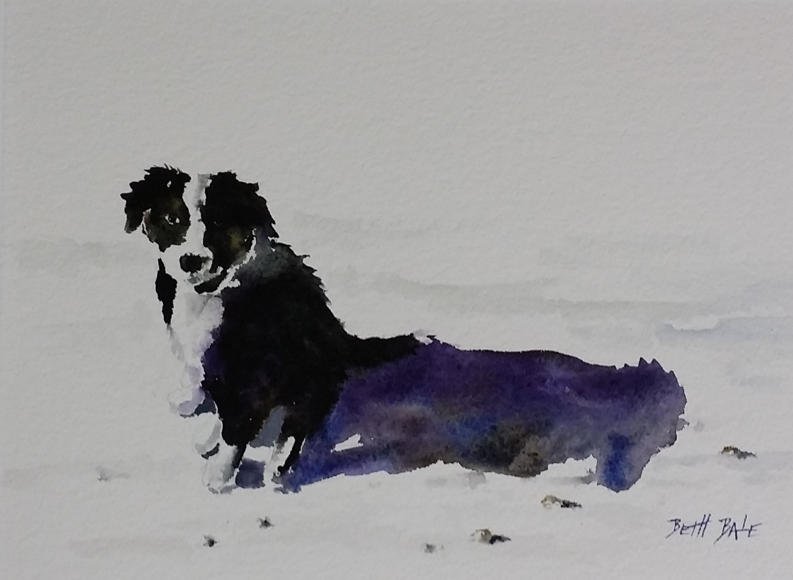 Bodie and Shadow