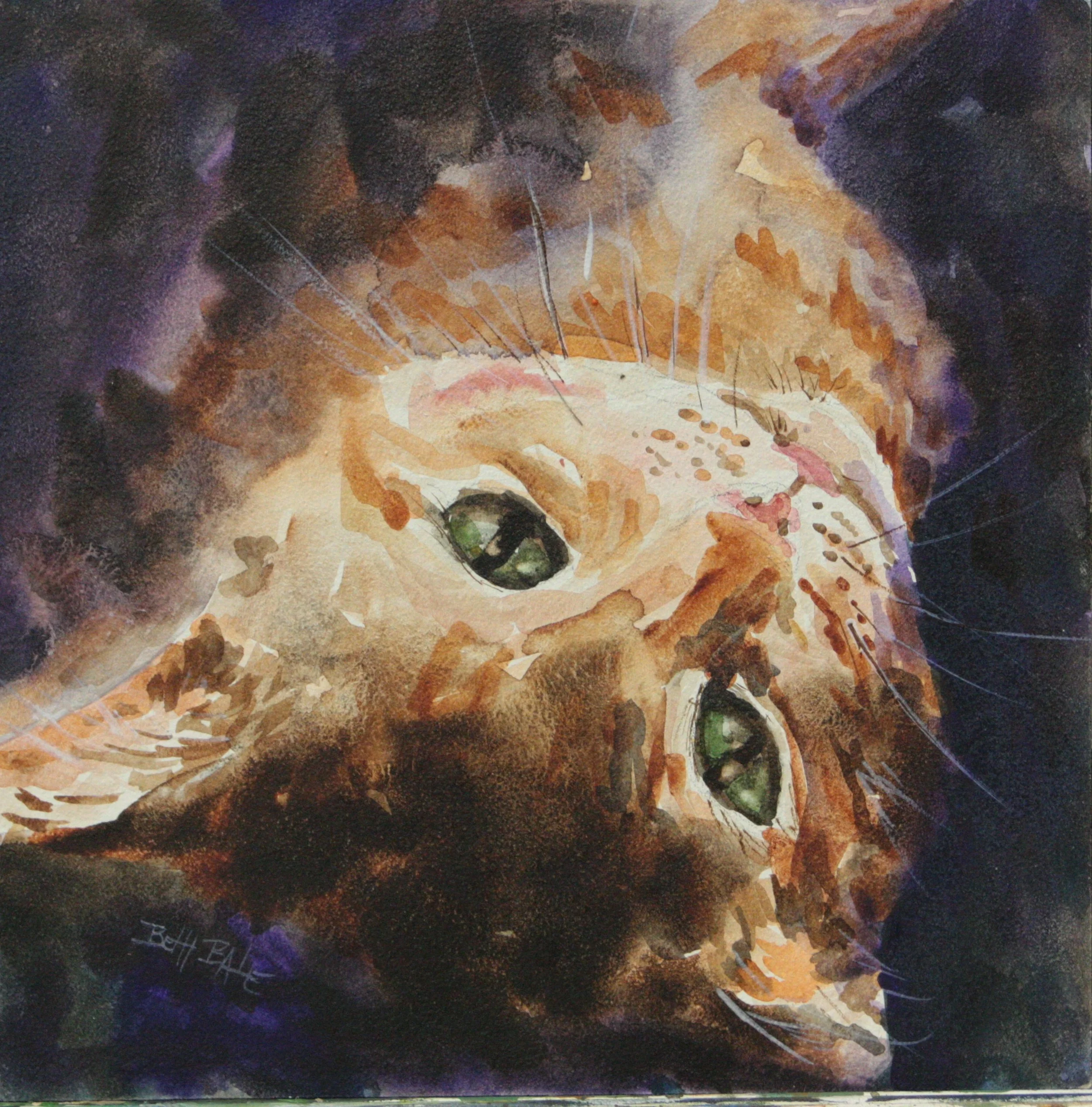 Chill Cat
