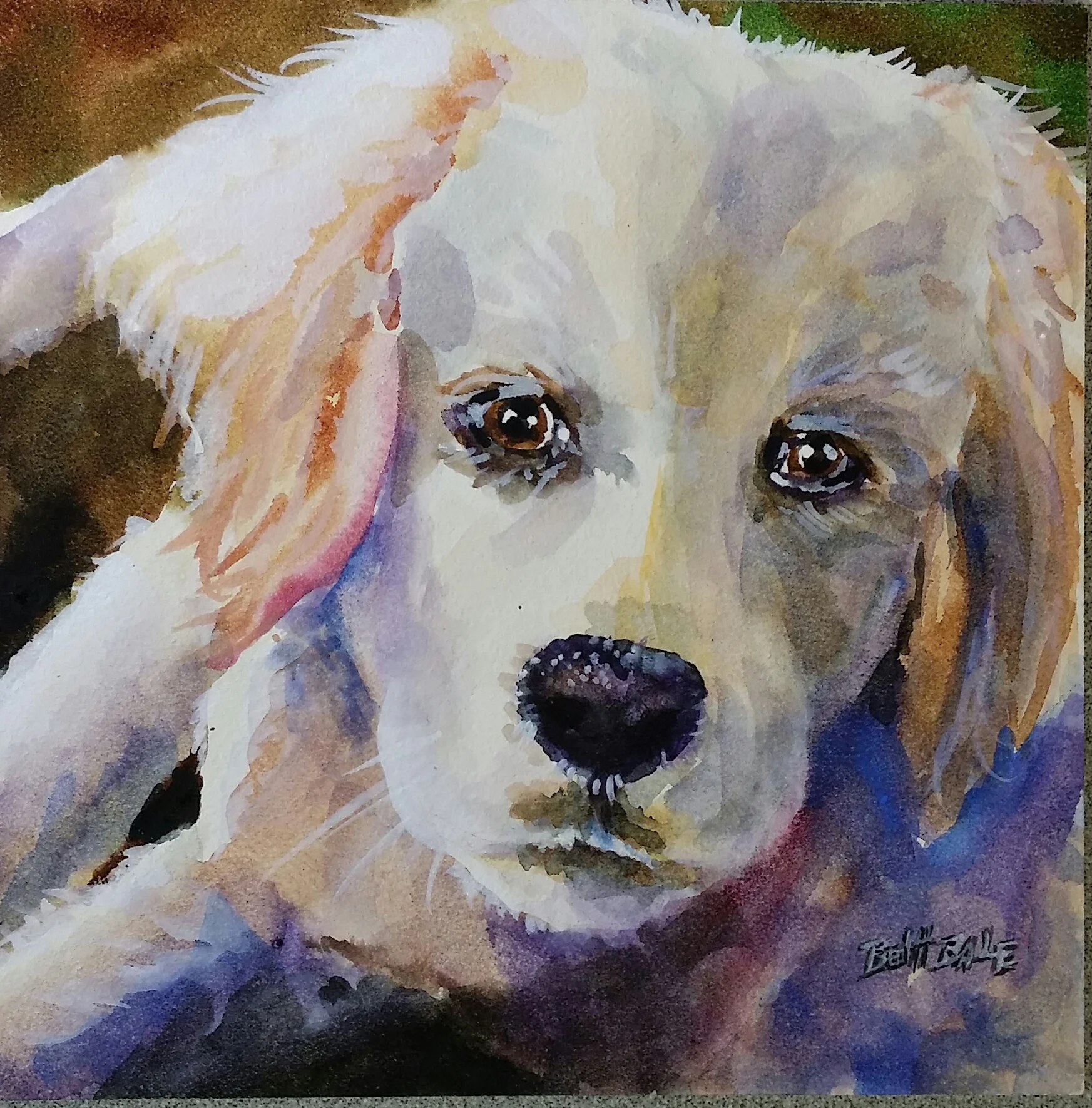 Golden Puppy