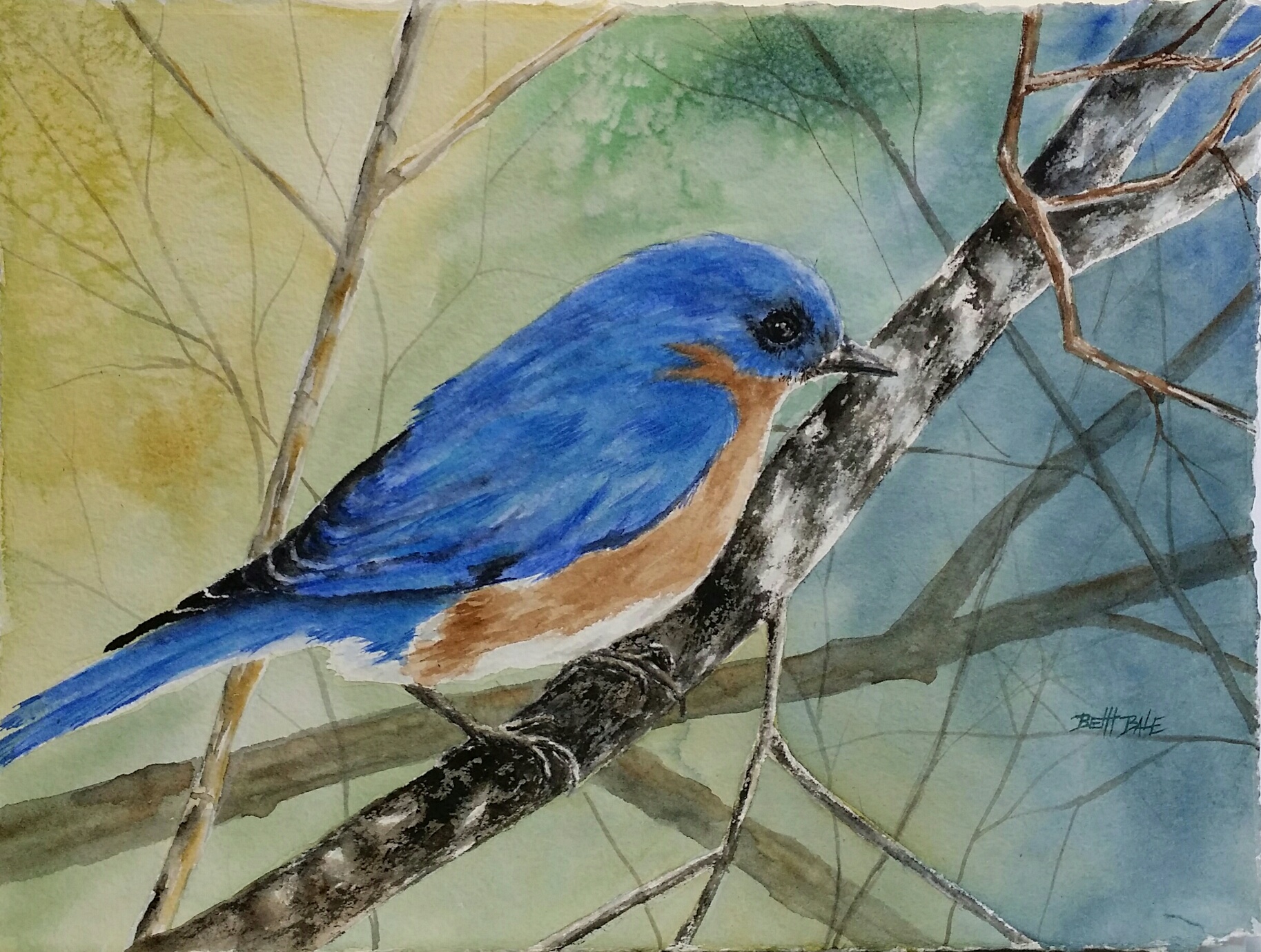 Bluebird I