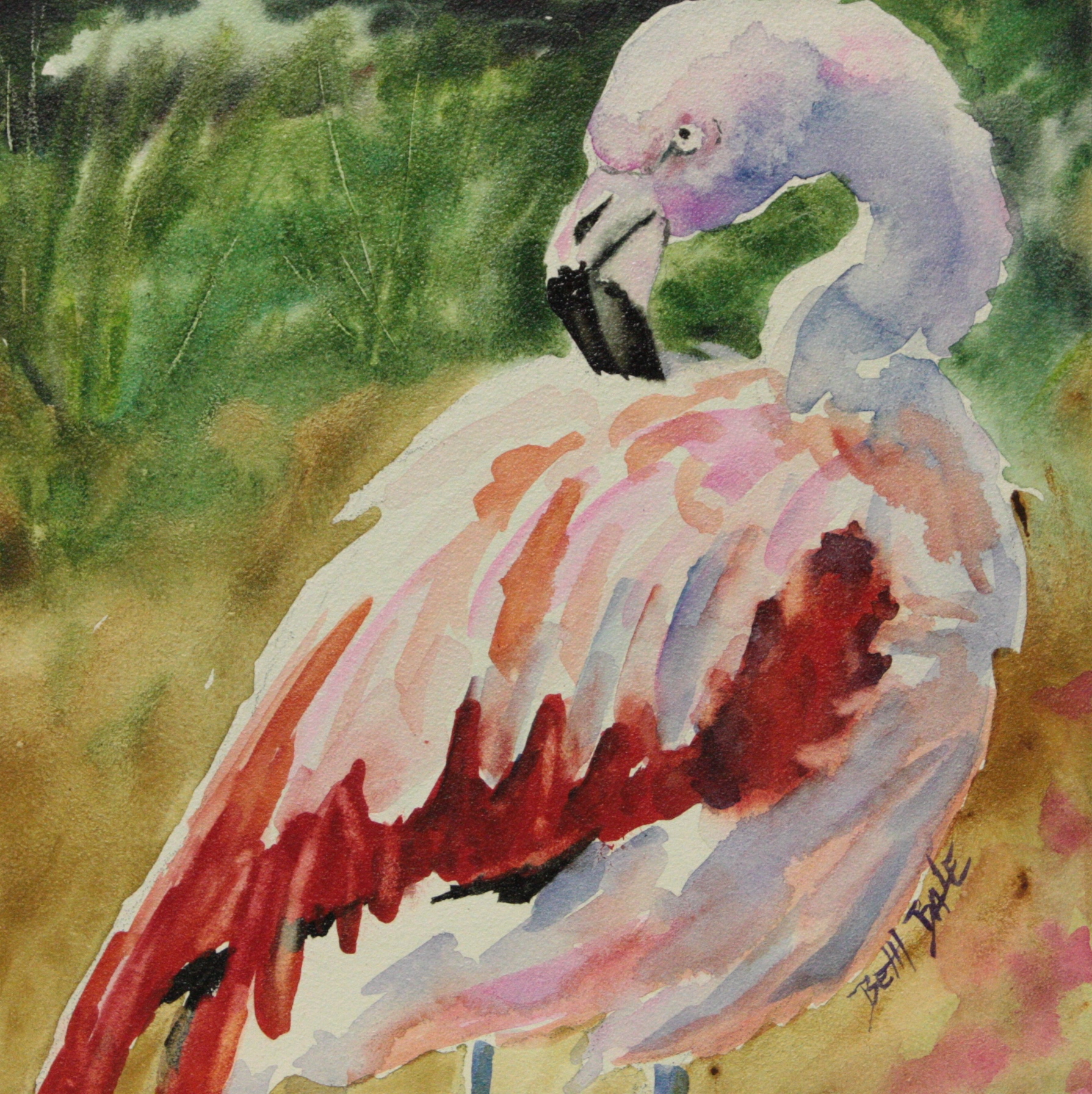 Flamingo II