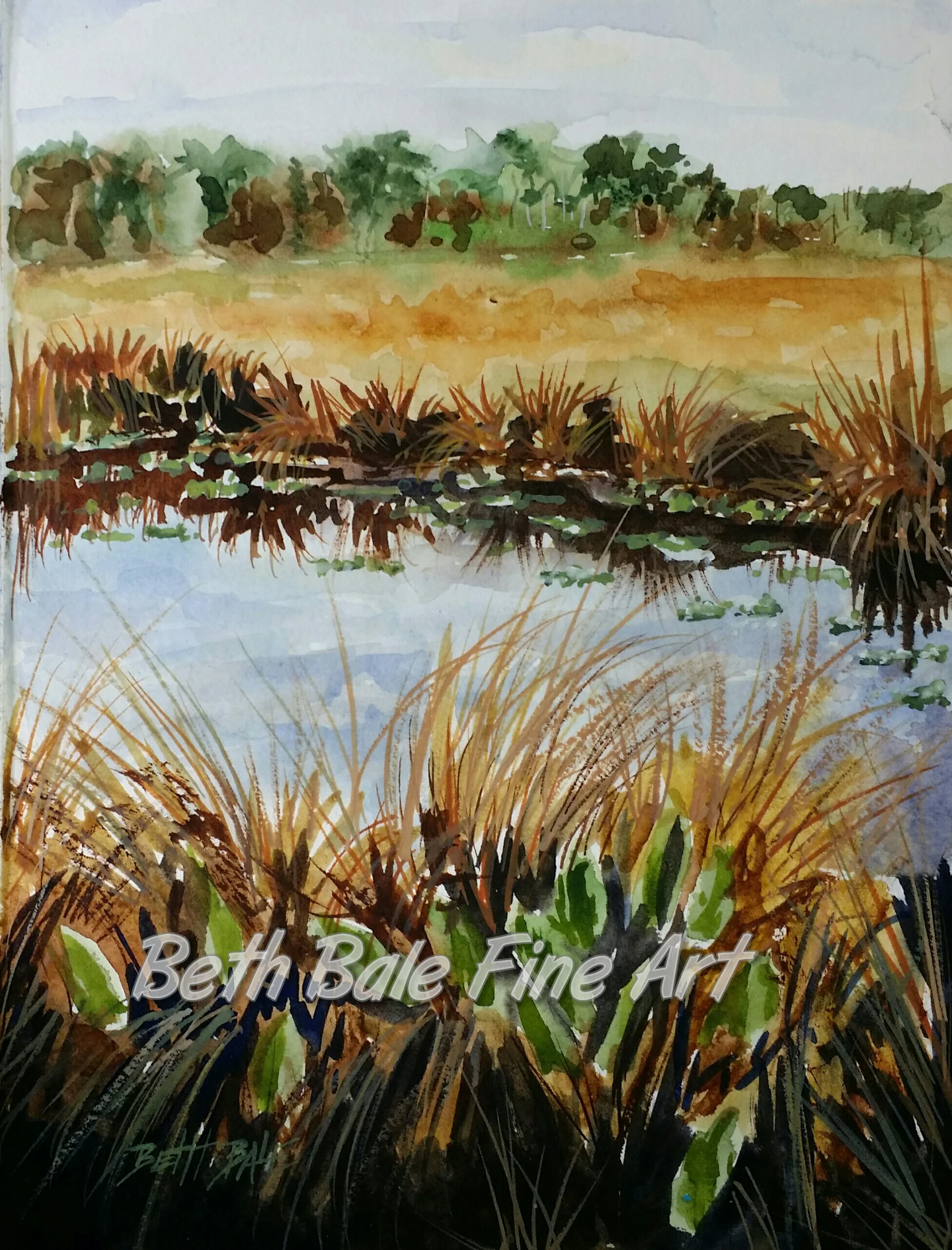 Water with Reflections.jpg