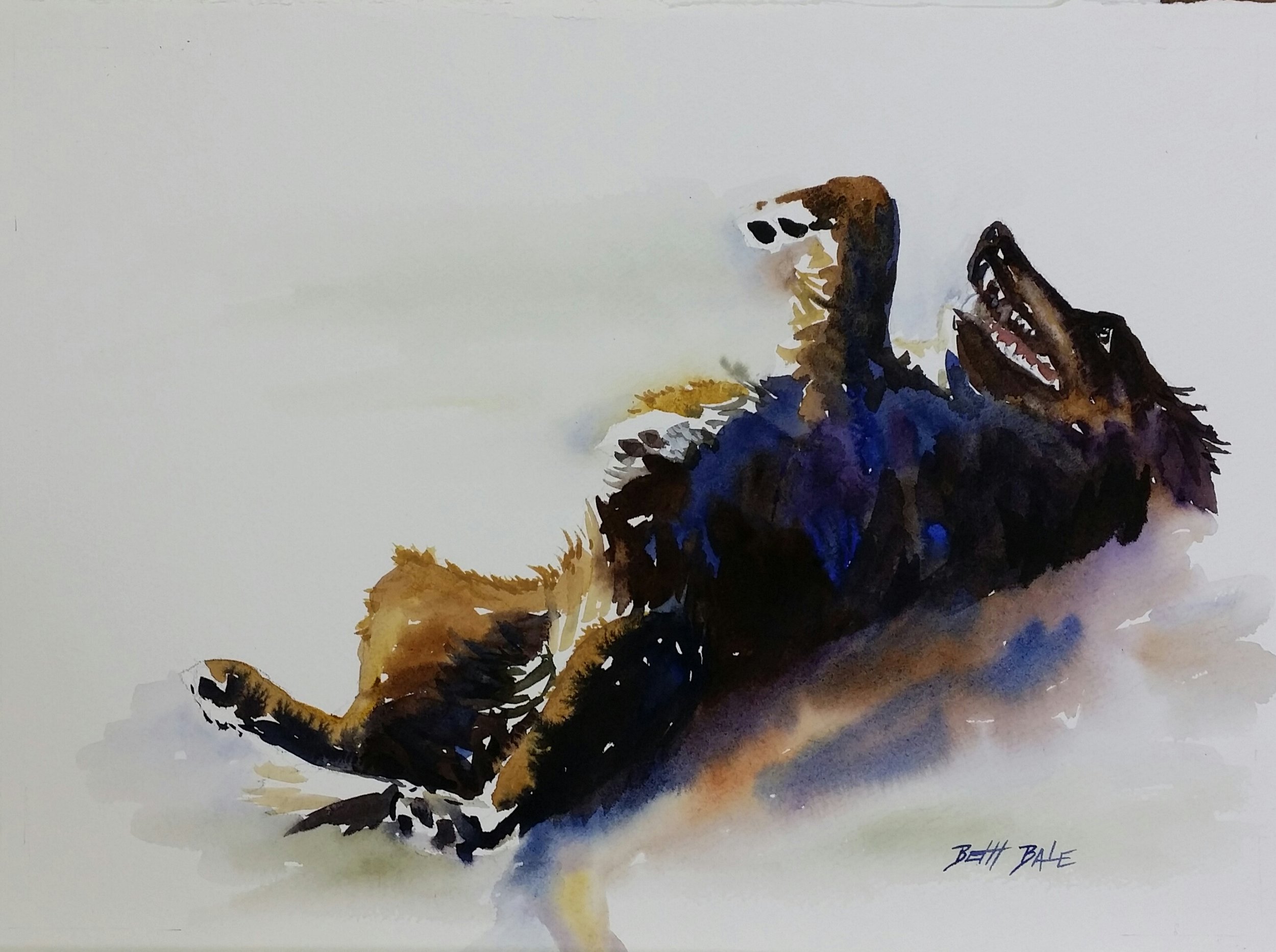 Dog Over, available