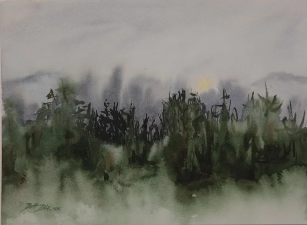 Foggy Forest