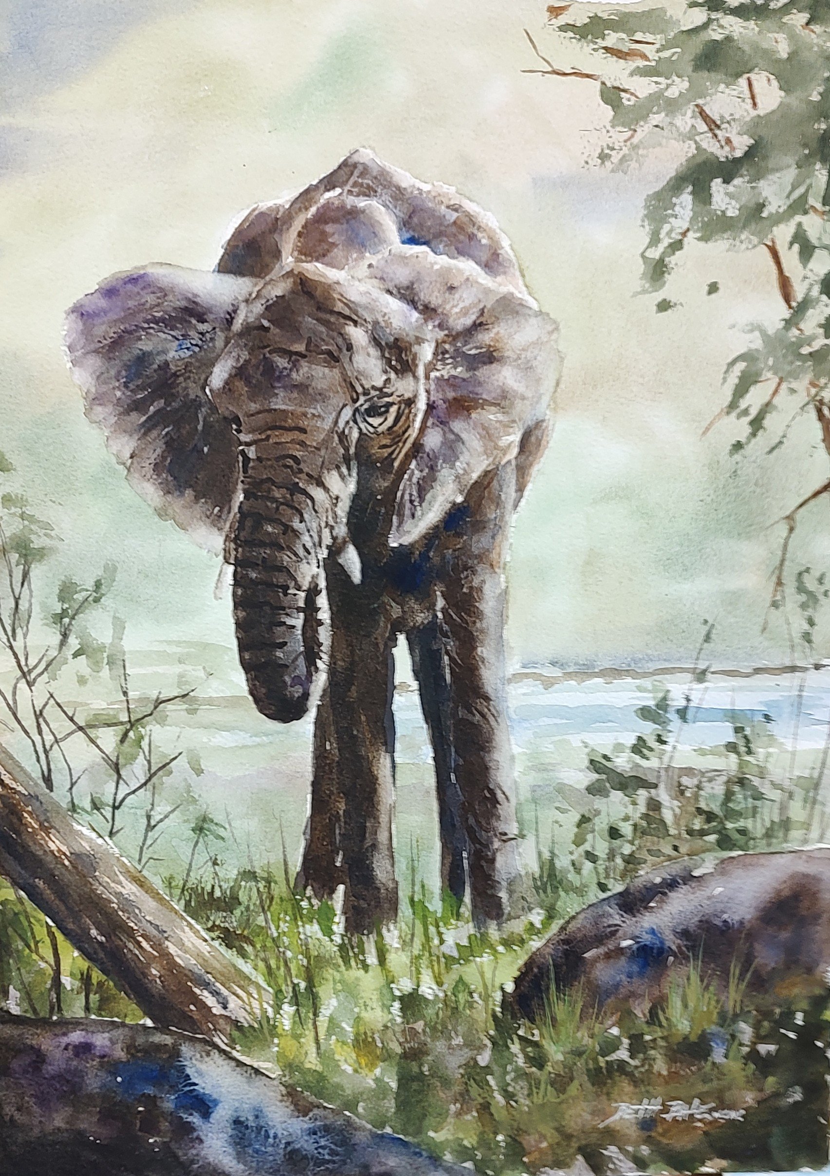 Elephant with grasses.jpg