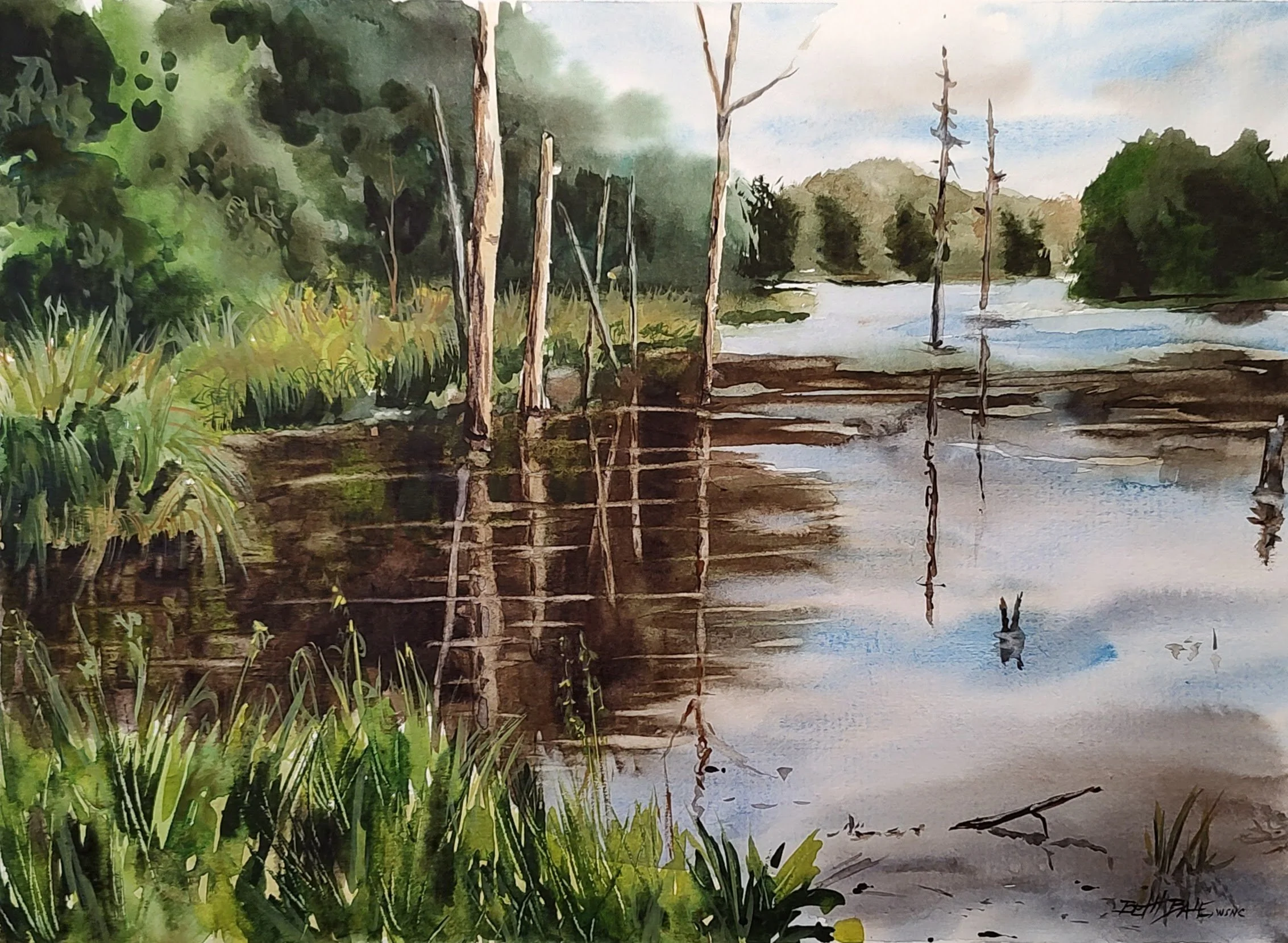Wet Wilds of Carolina.jpg